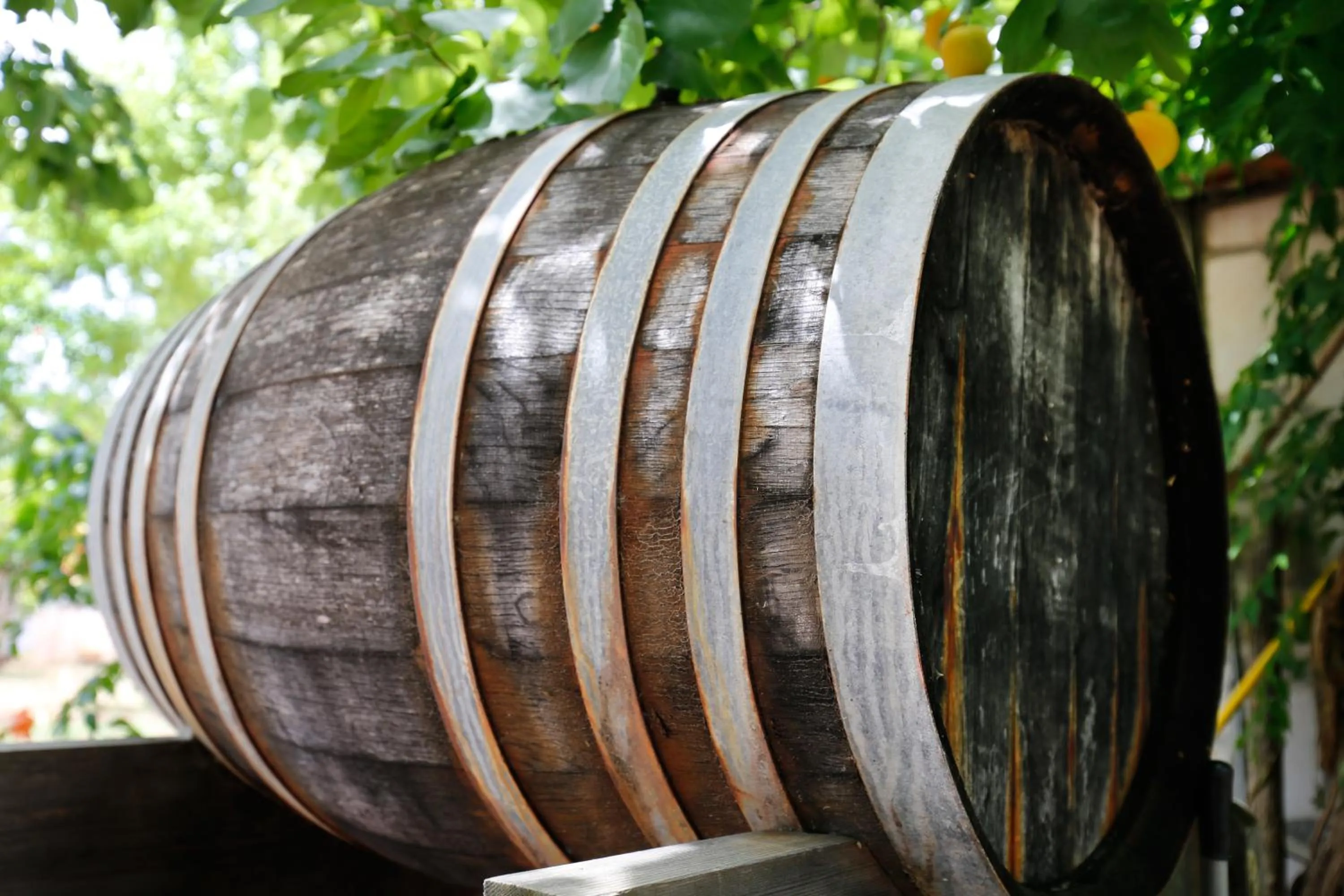 Property building in Agriturismo Posta Pastorella