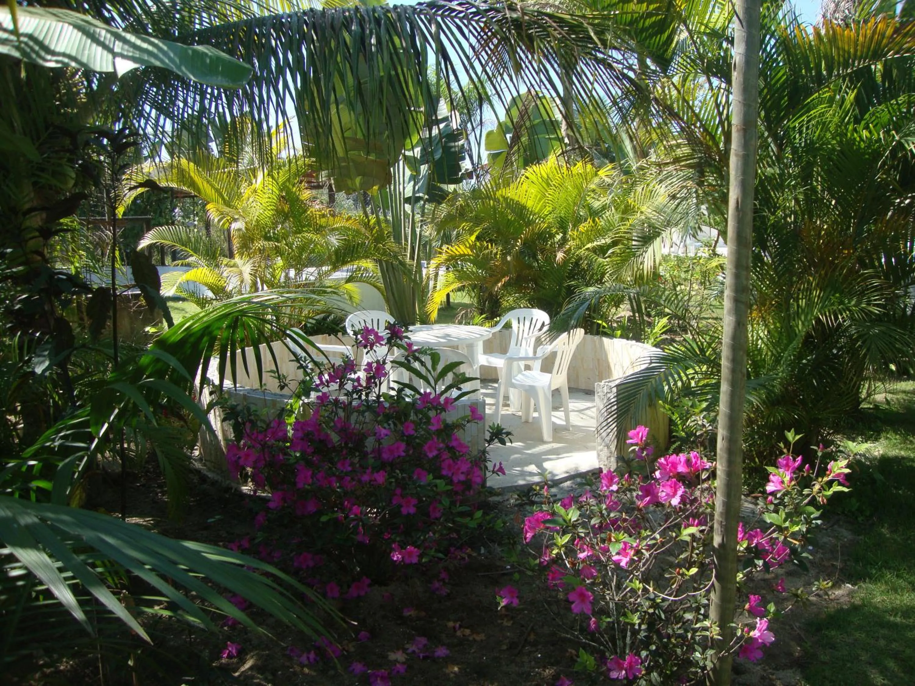 Garden in Jabaquara Beach Resort