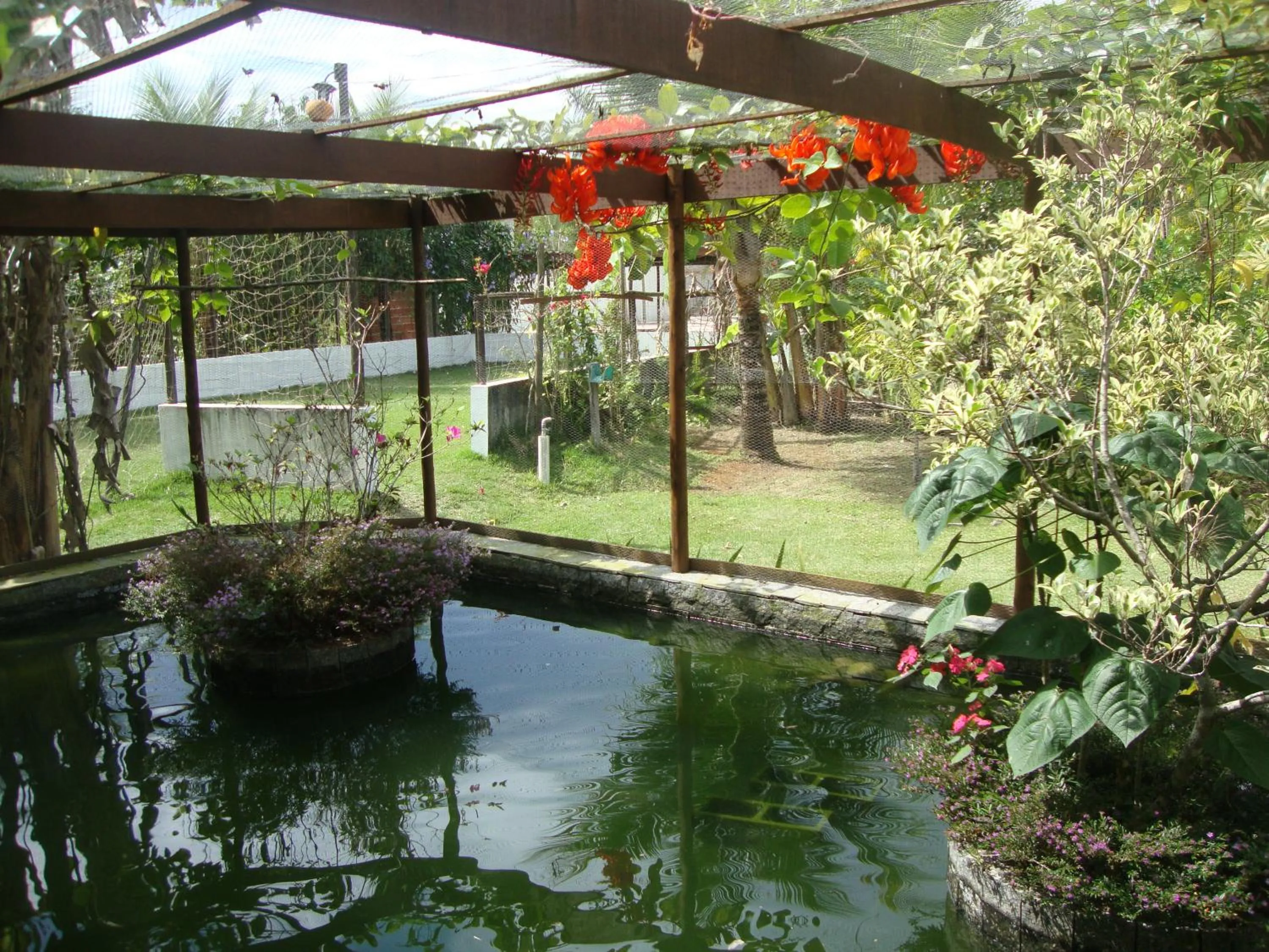 Garden view in Jabaquara Beach Resort