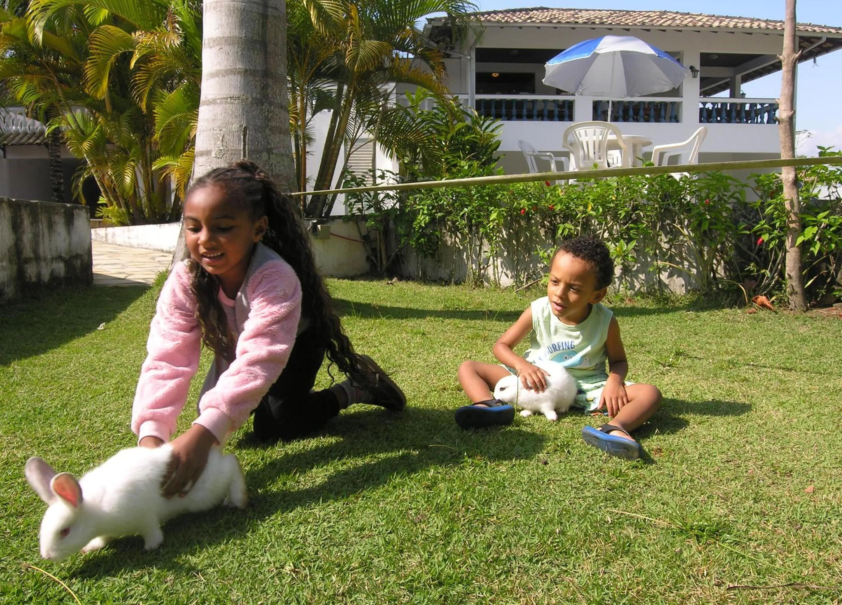 Animals in Jabaquara Beach Resort