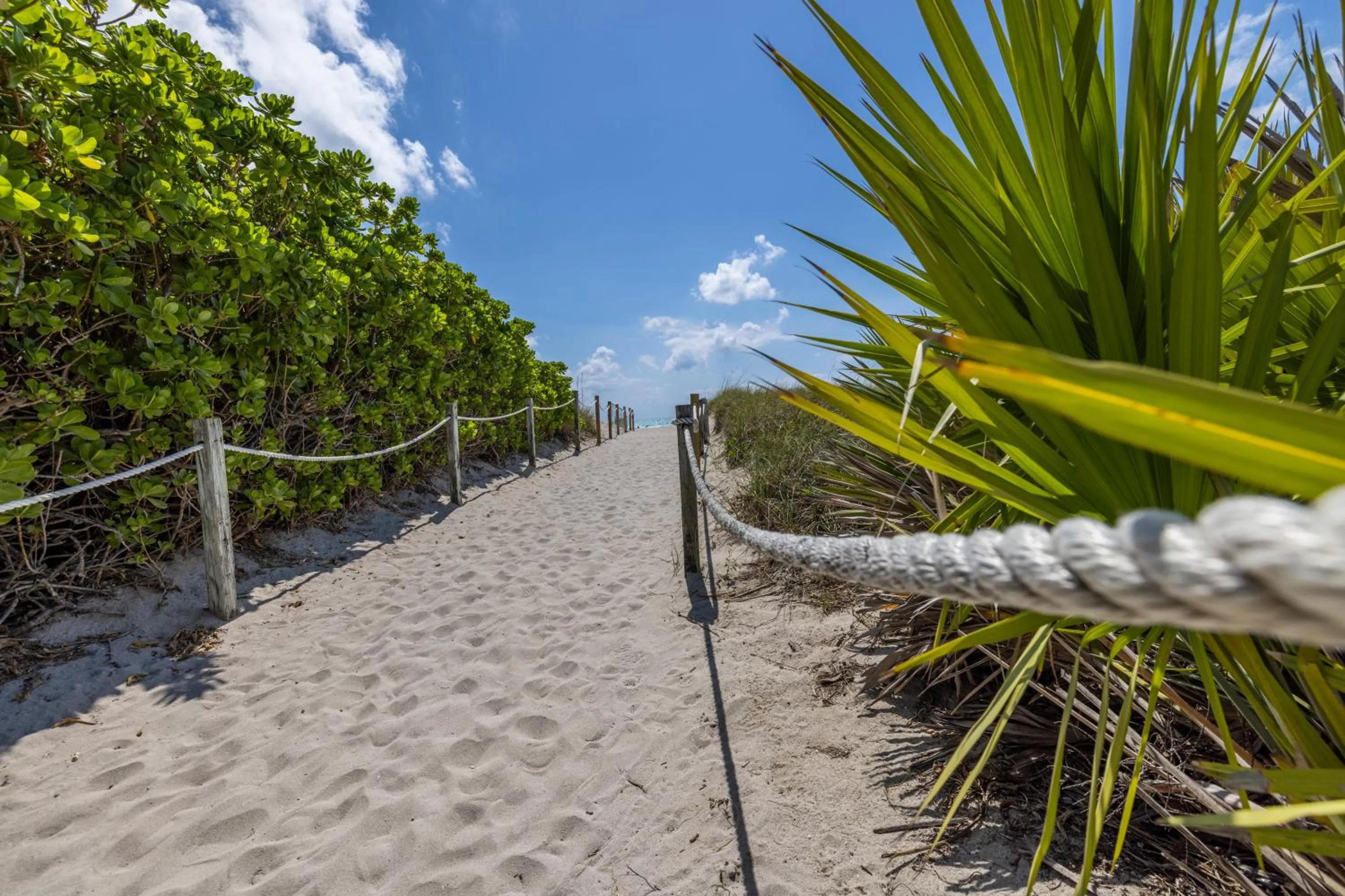 Beach in Suites on South Beach