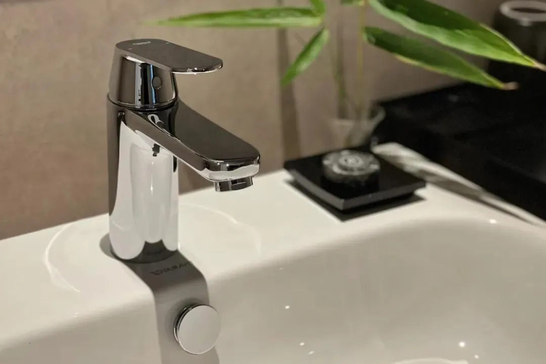 Toilet in Phoenix Hall House Hotel