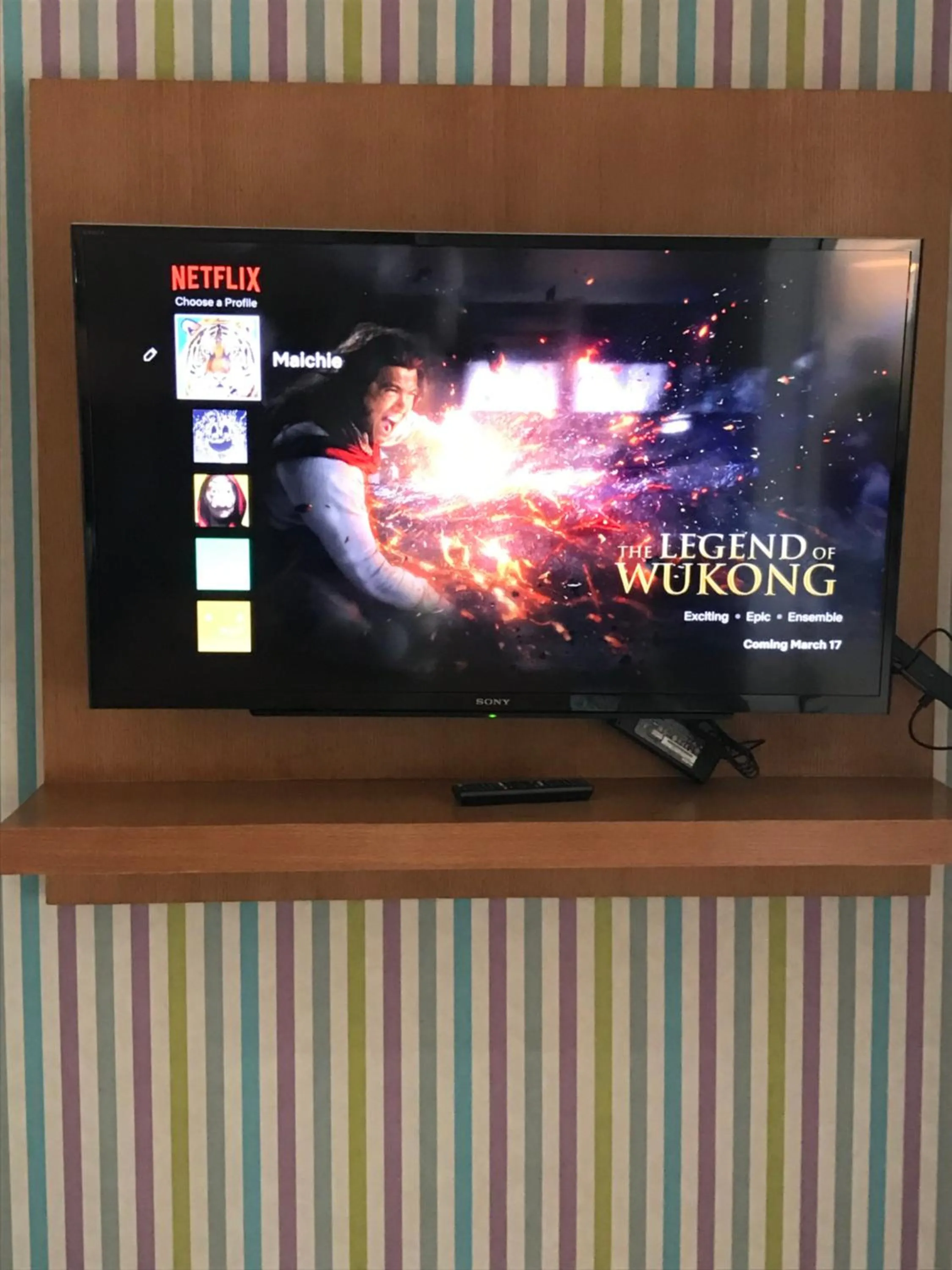 TV and multimedia in One Bedroom with Netflix at Legaspi Village Makati