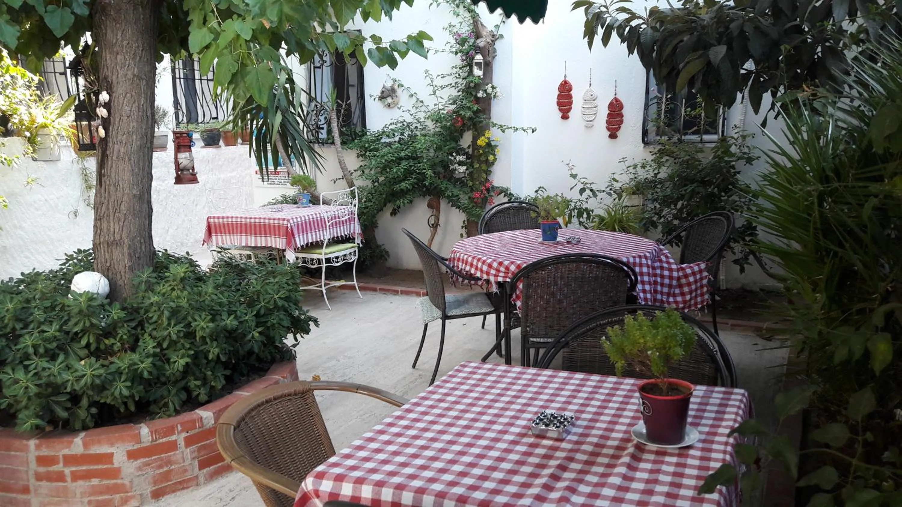 Garden in Tay Pansiyon