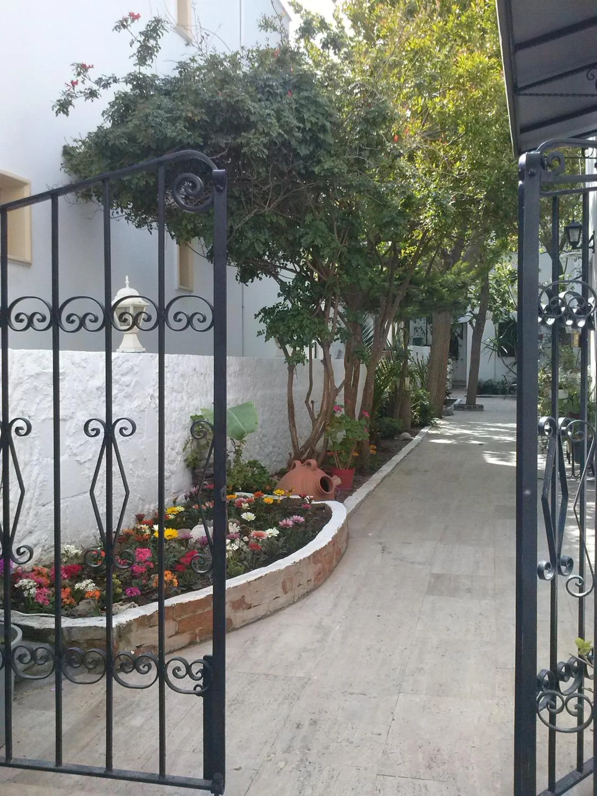 Area and facilities in Tay Pansiyon