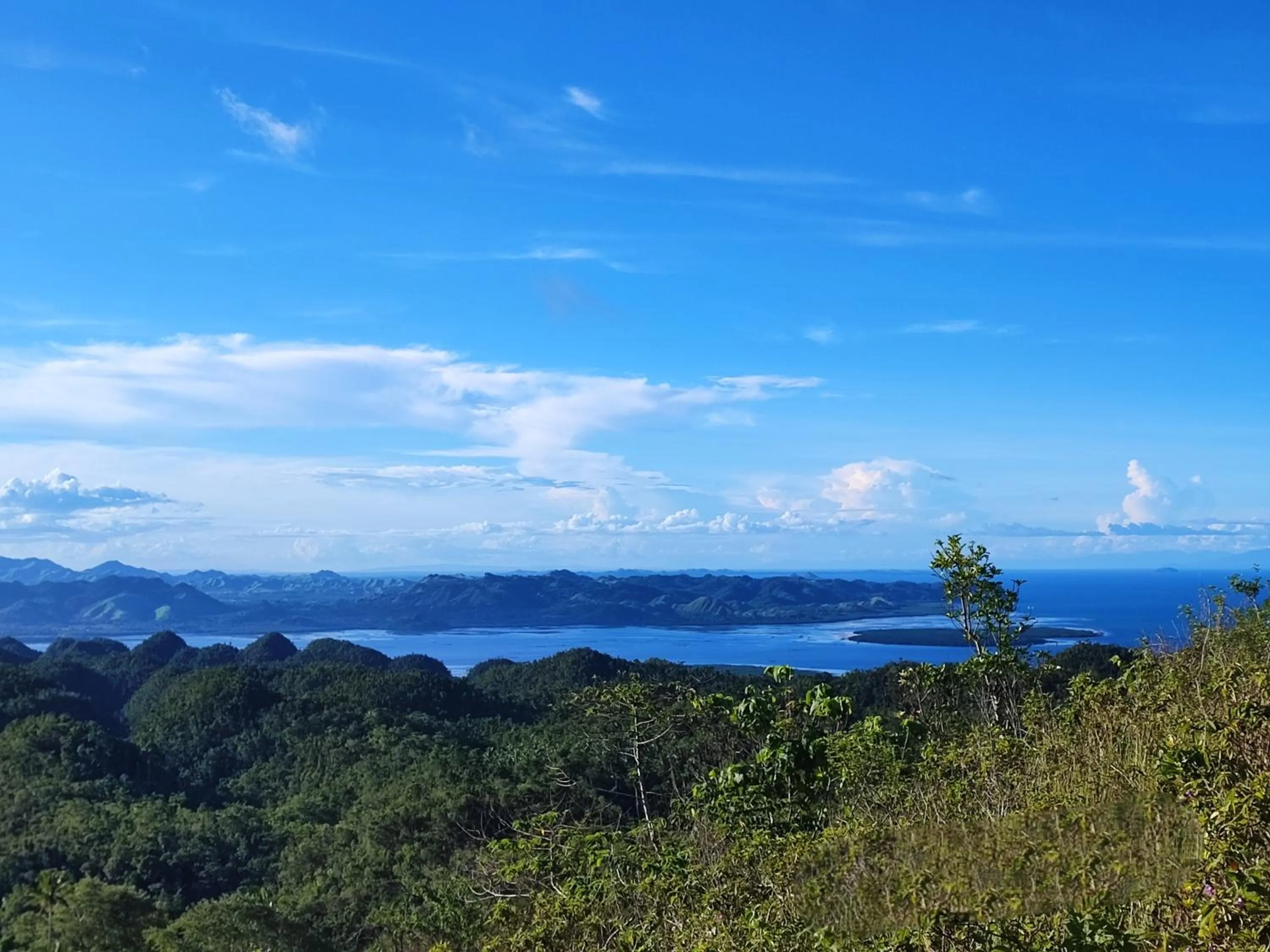 Activities in Rose Apartments