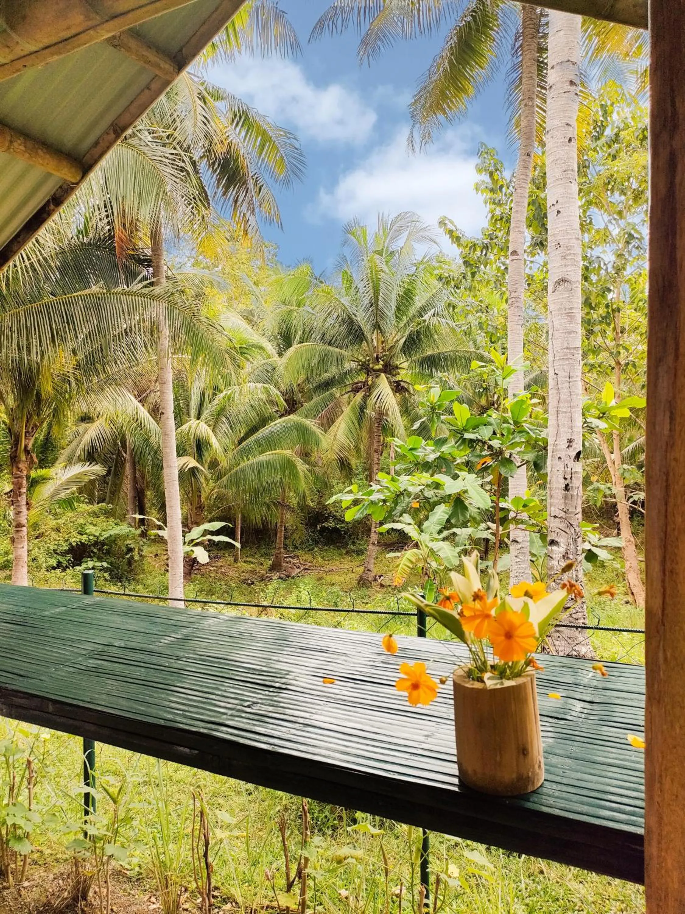 Natural landscape in Rose Apartments