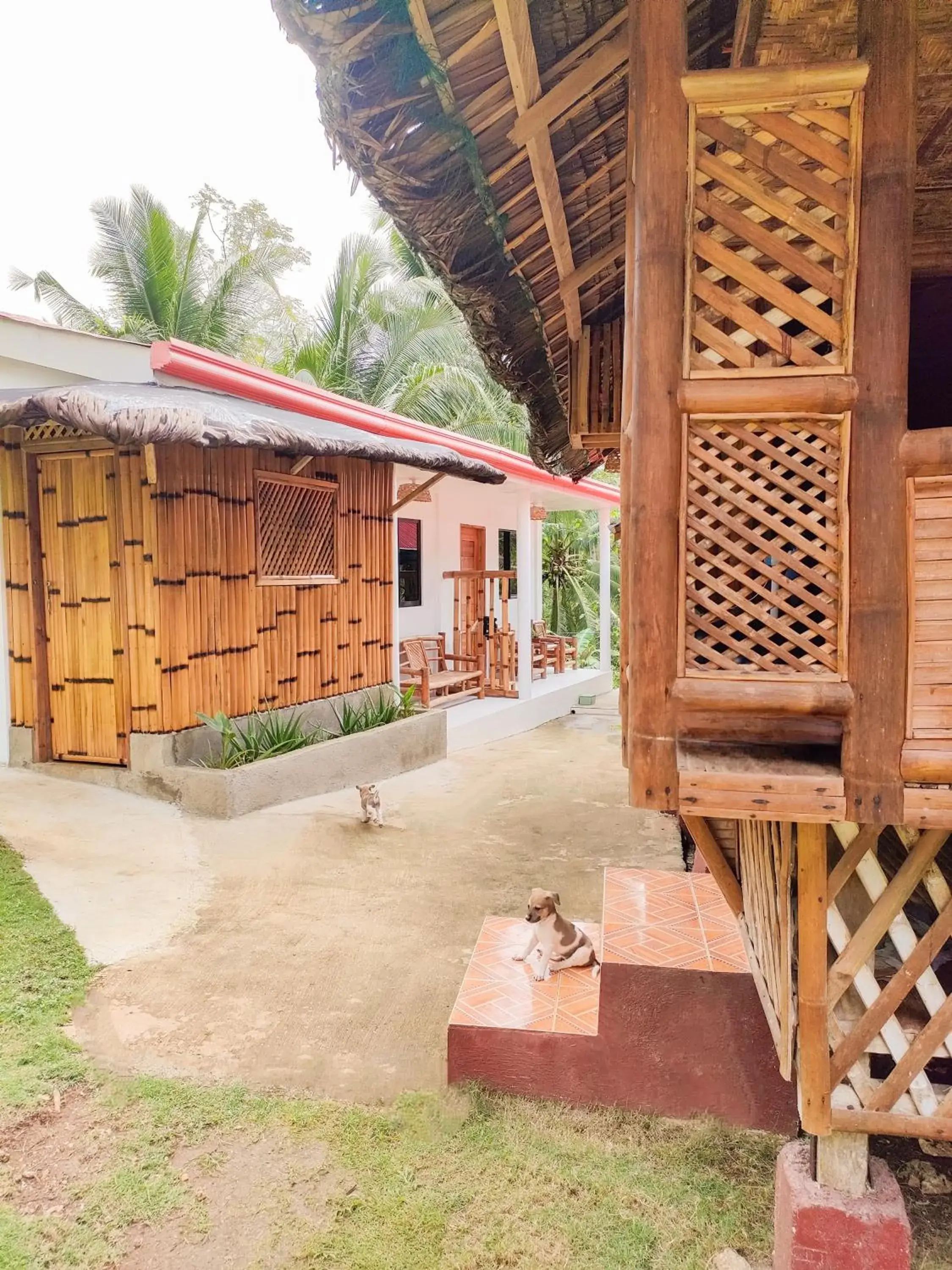 Property building in Rose Apartments Property building in Rose Apartments