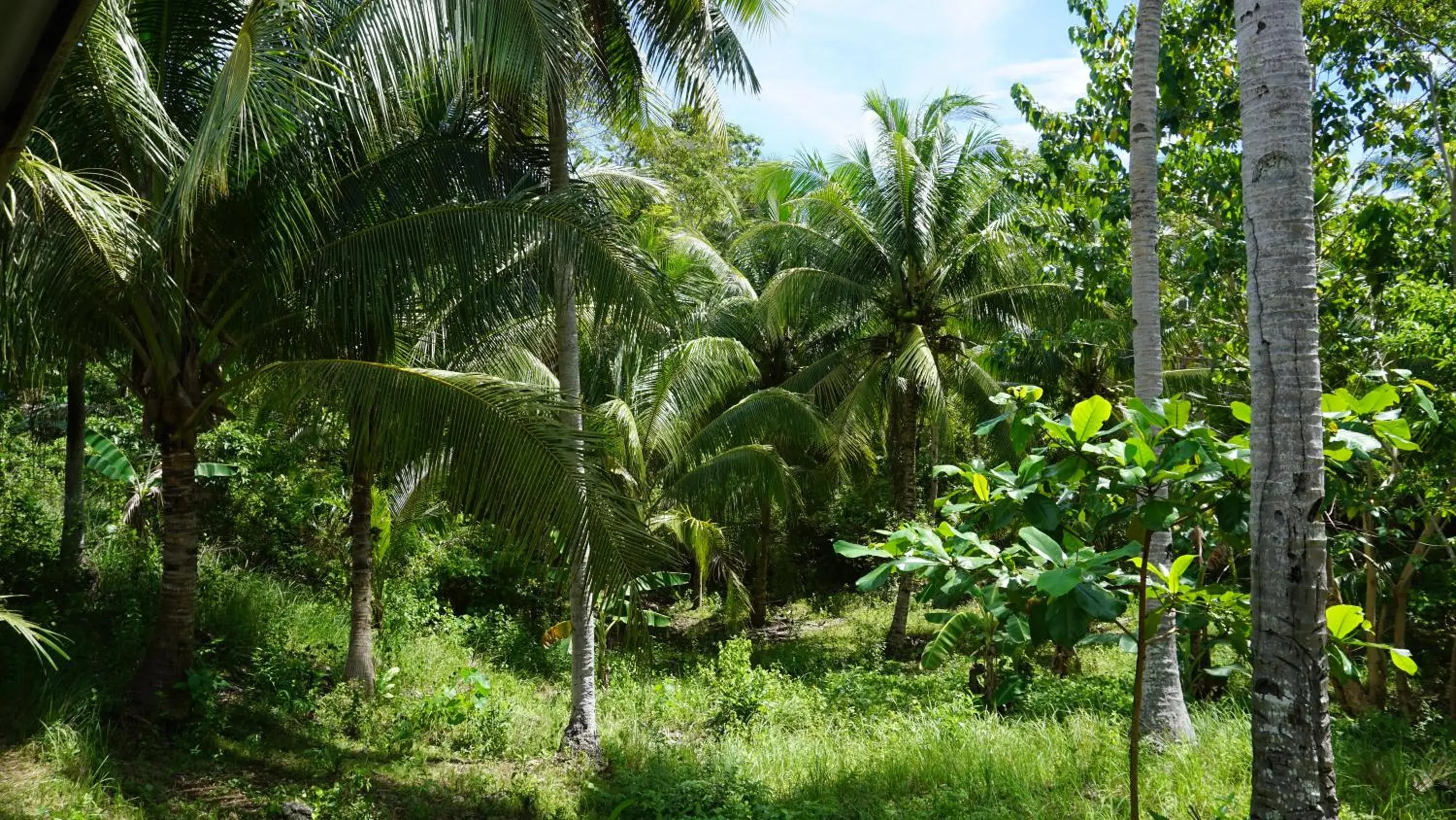 View (from property/room) in Rose Apartments View (from property/room) in Rose Apartments