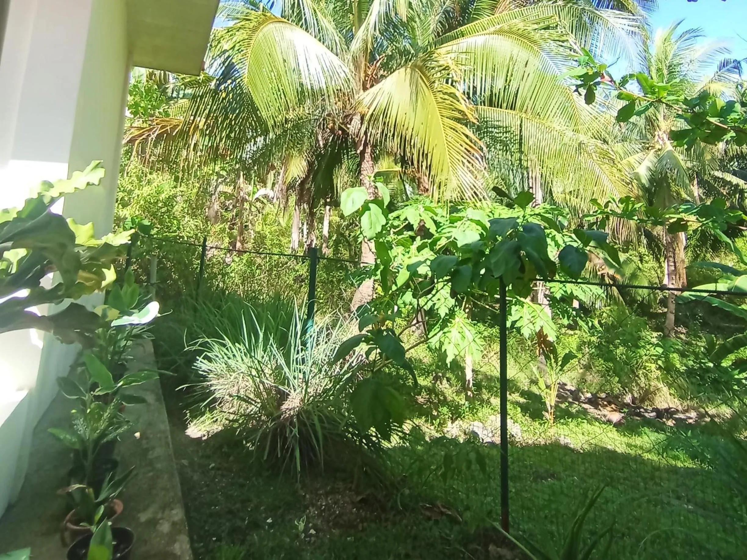 Natural landscape in Rose Apartments