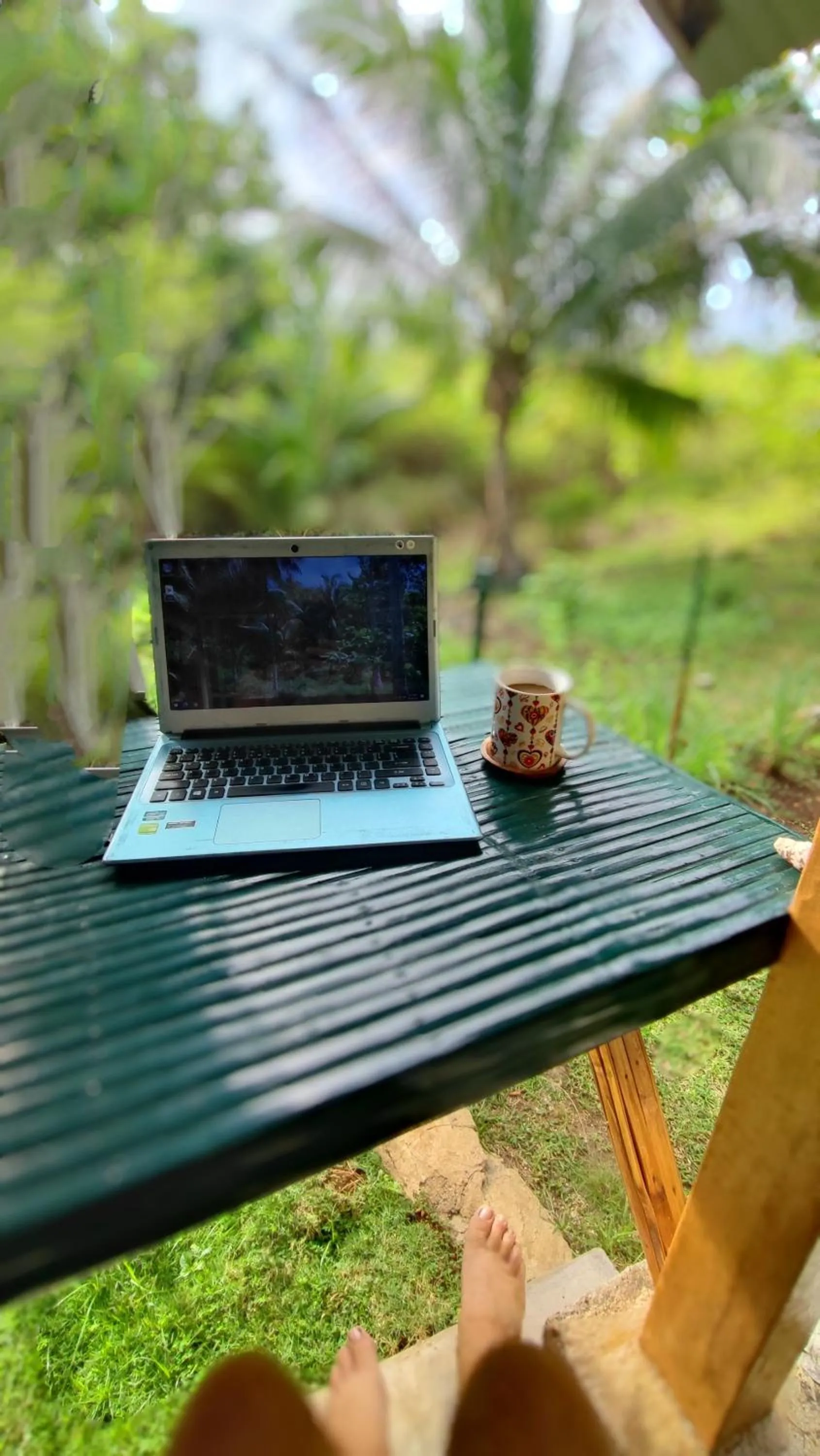 Natural landscape in Rose Apartments