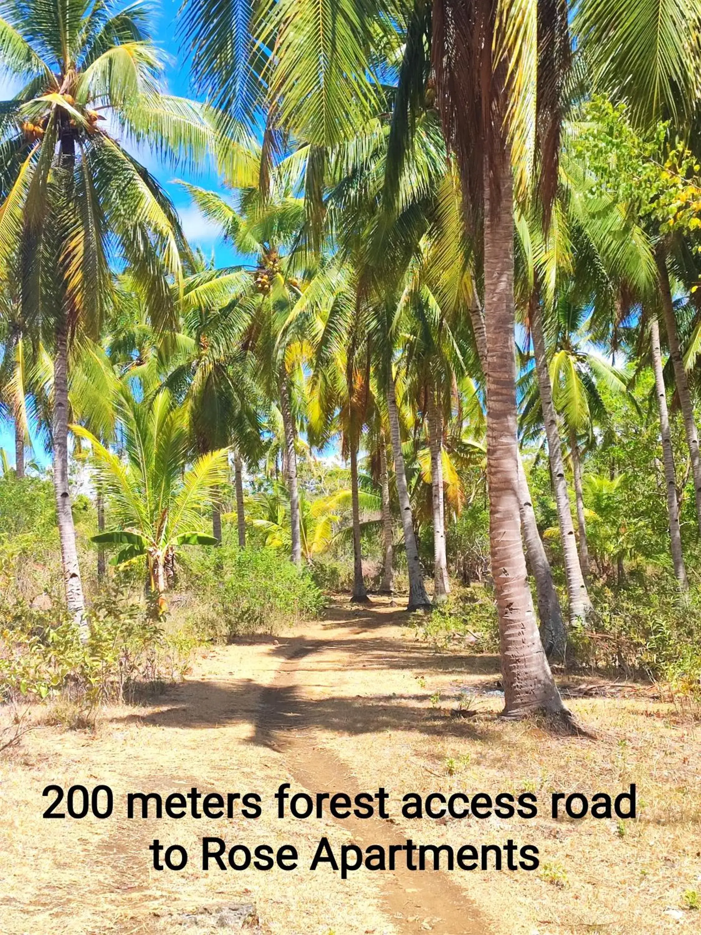 Facade/entrance in Rose Apartments Facade/entrance in Rose Apartments