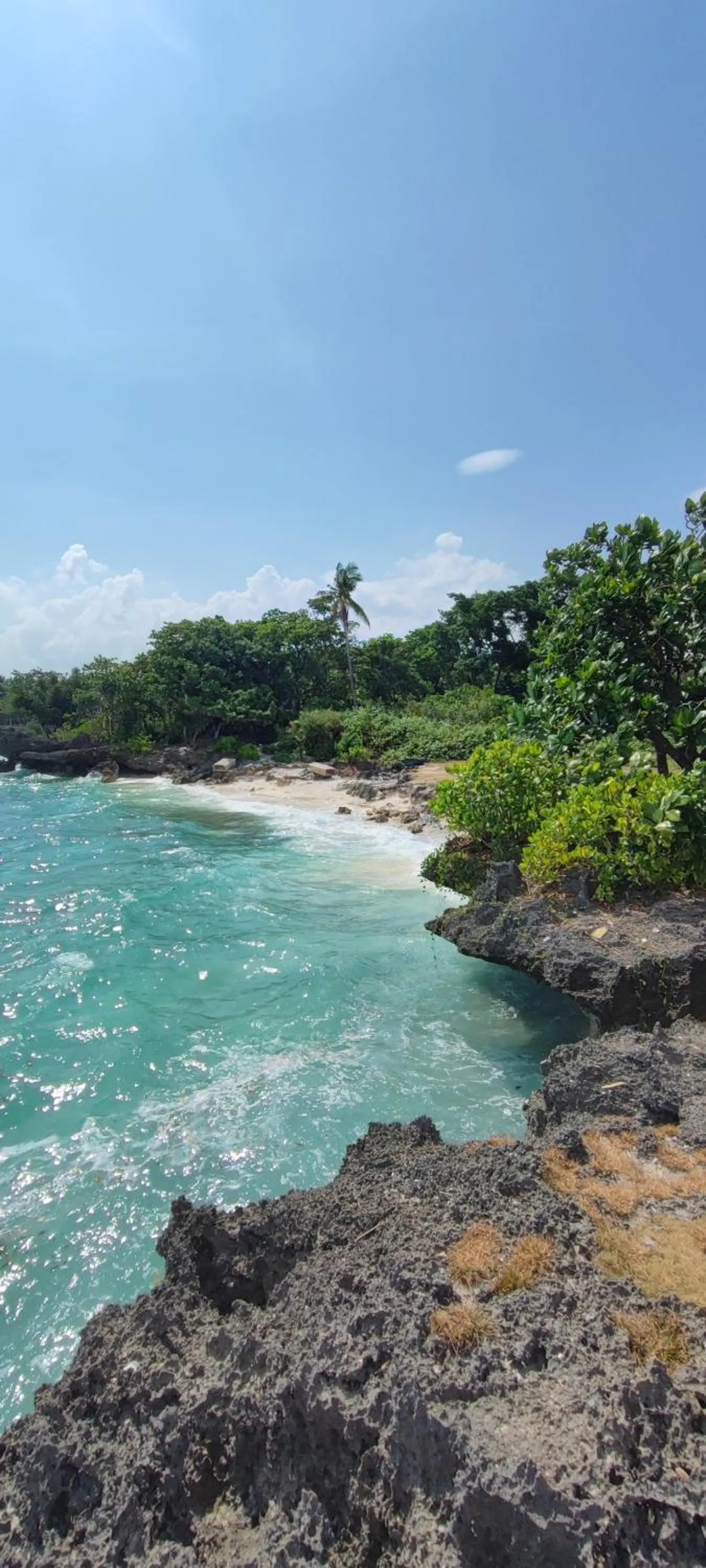 Day in Rose Apartments