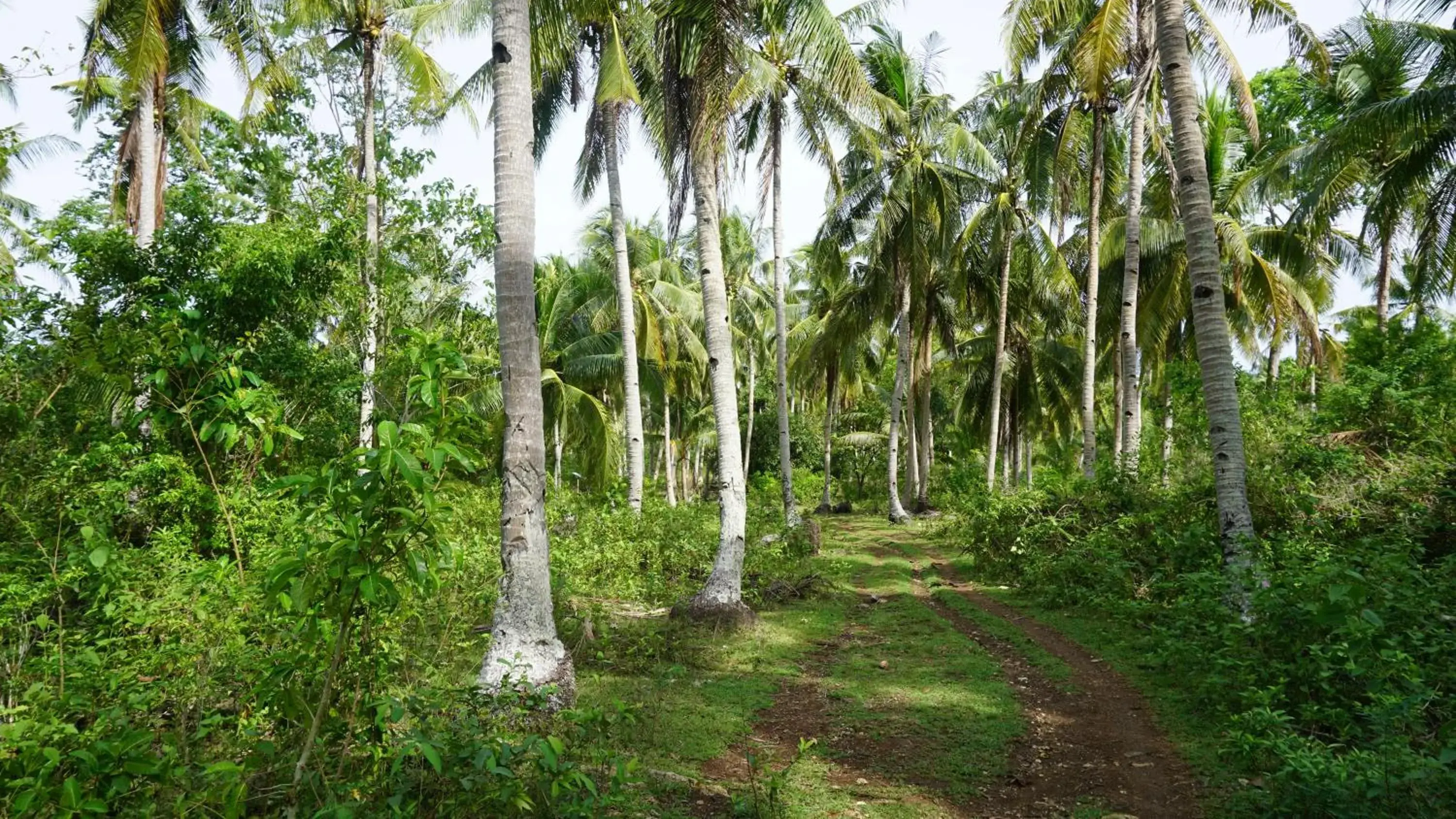 Facade/entrance in Rose Apartments Facade/entrance in Rose Apartments