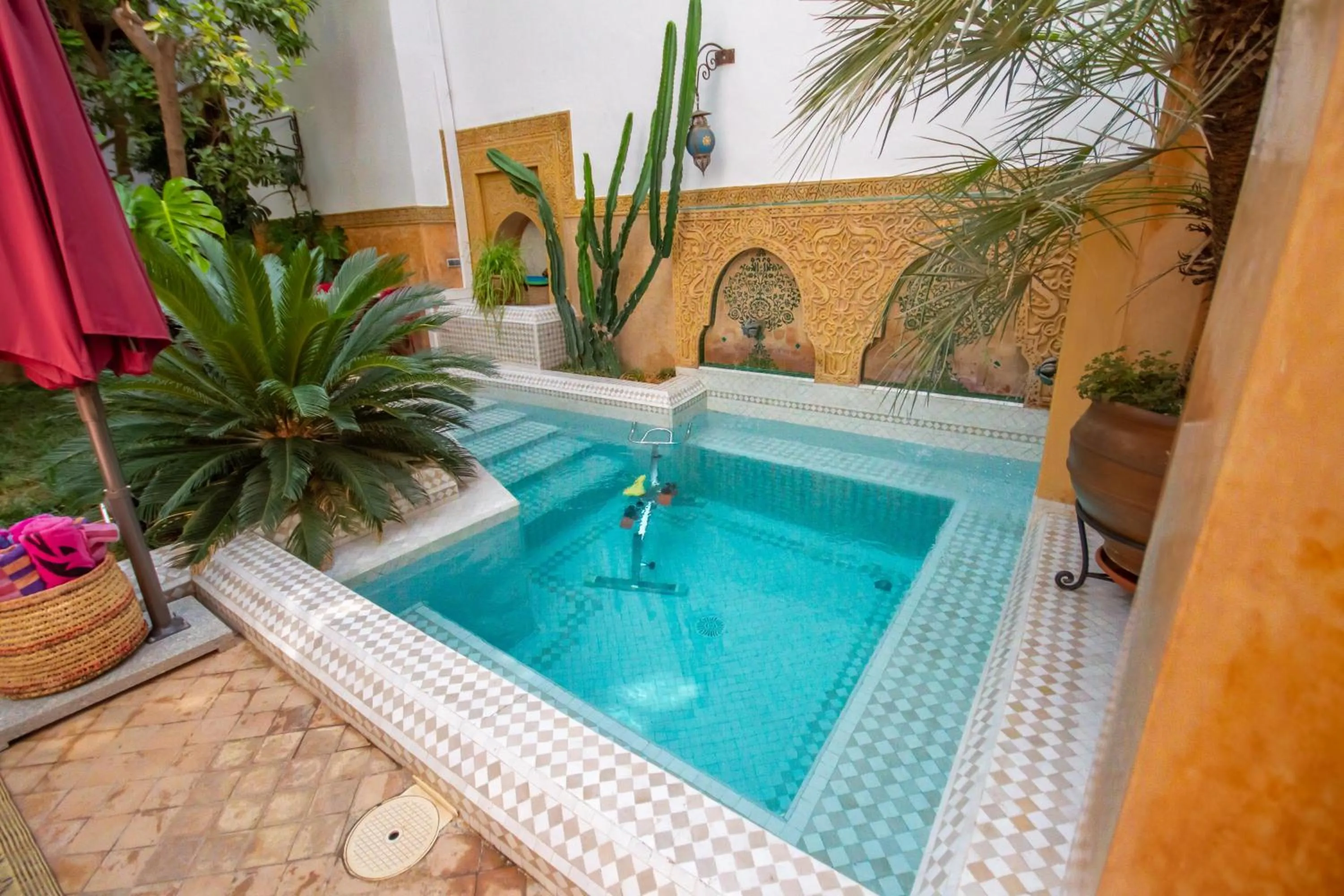 Swimming pool in Riad Dombaraka