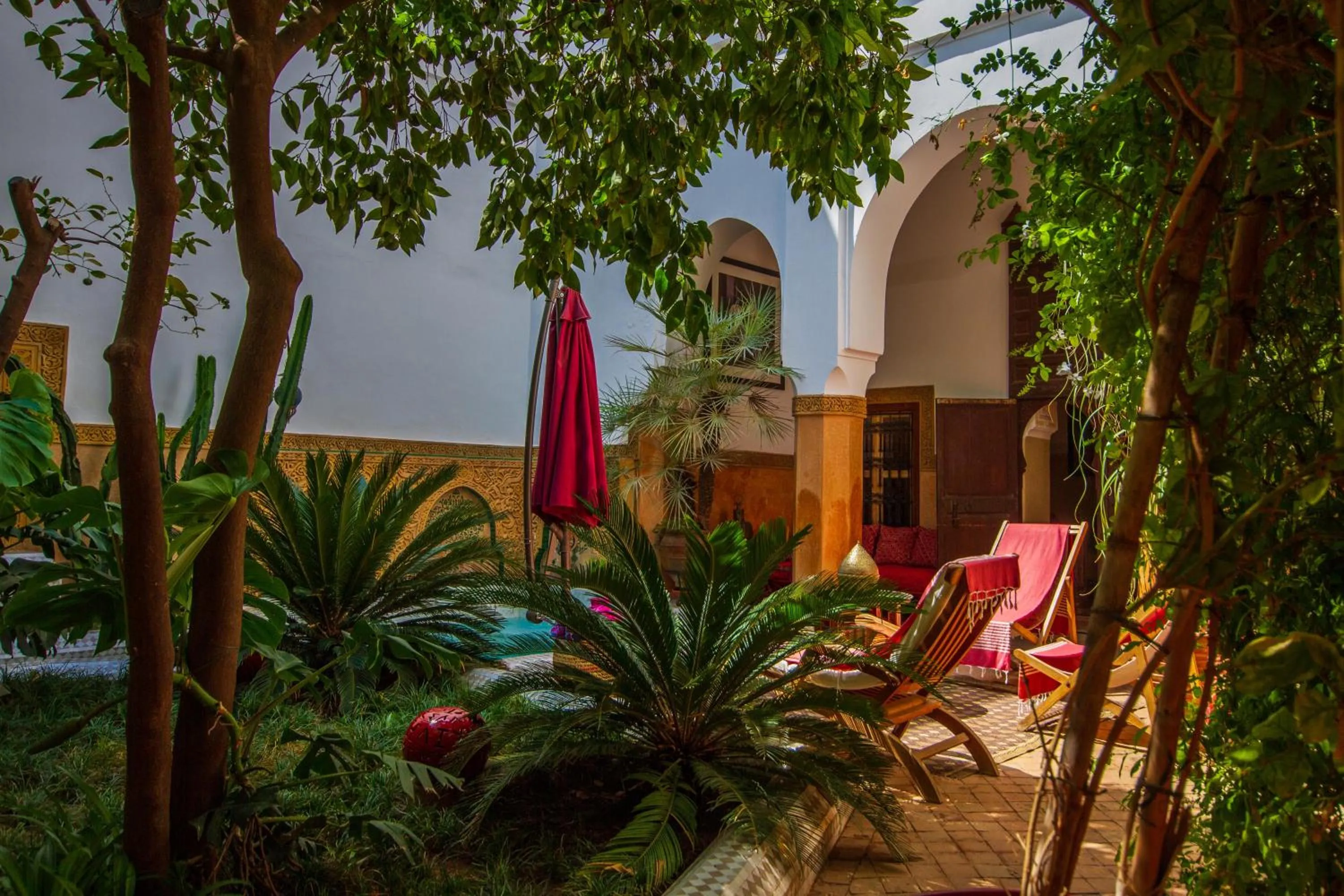 Garden view in Riad Dombaraka