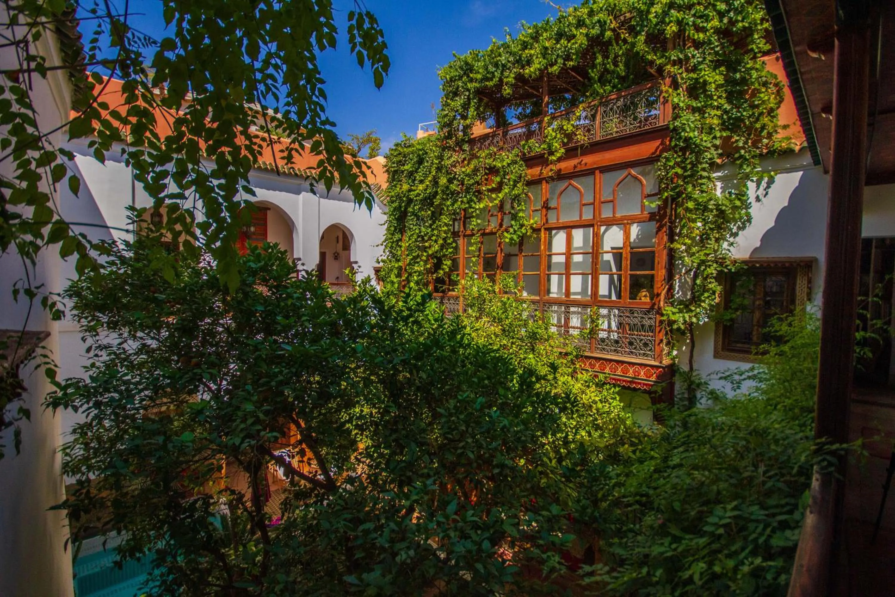 Garden view in Riad Dombaraka