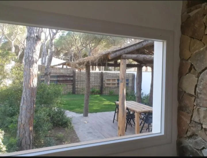 Garden view in Casa Palmito