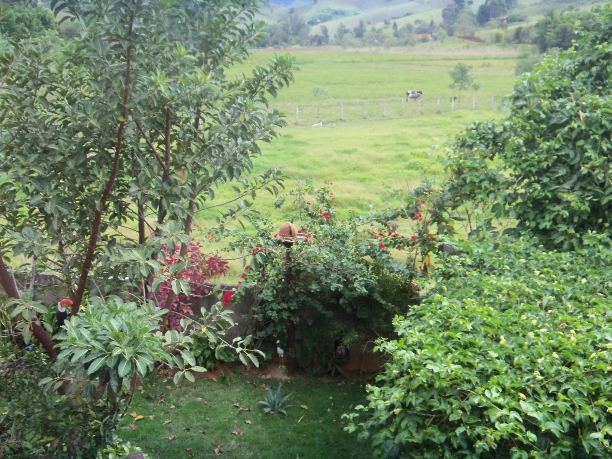 Garden in Pousada Rota dos Pássaros