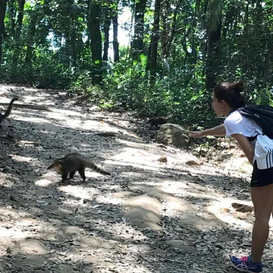 Pousada Rota dos Pássaros