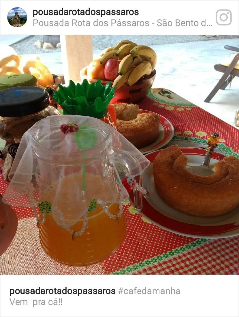 Day in Pousada Rota dos Pássaros