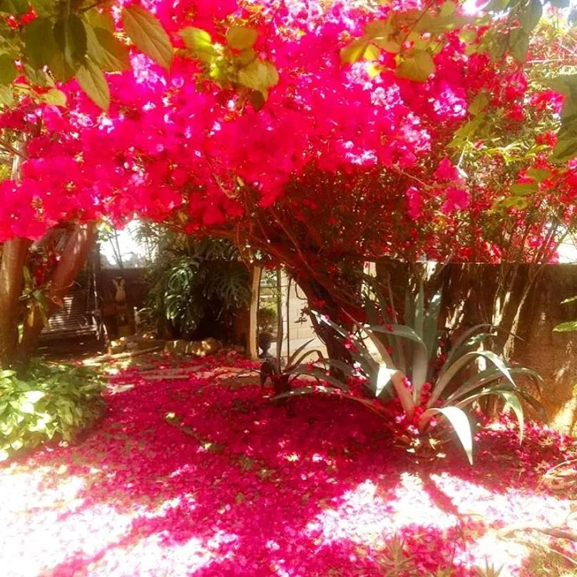 Pousada Rota dos Pássaros