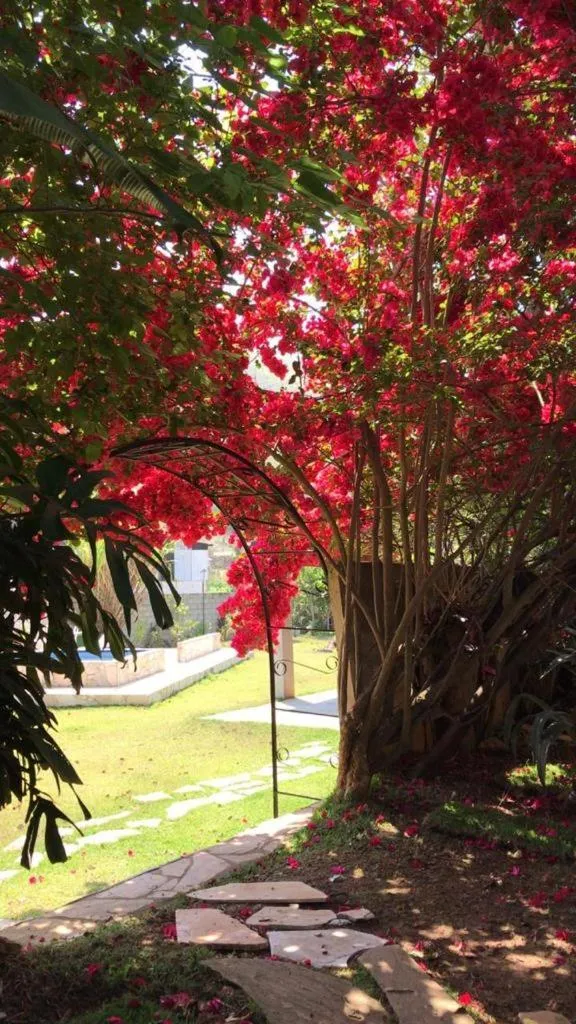 Garden in Pousada Rota dos Pássaros
