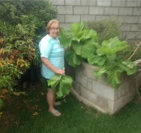 Pousada Rota dos Pássaros