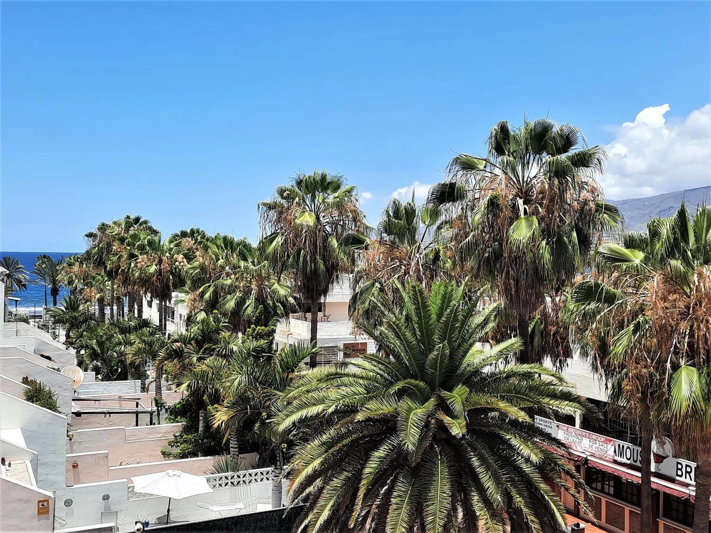 Sea view in ZioCarlo/Las Americas