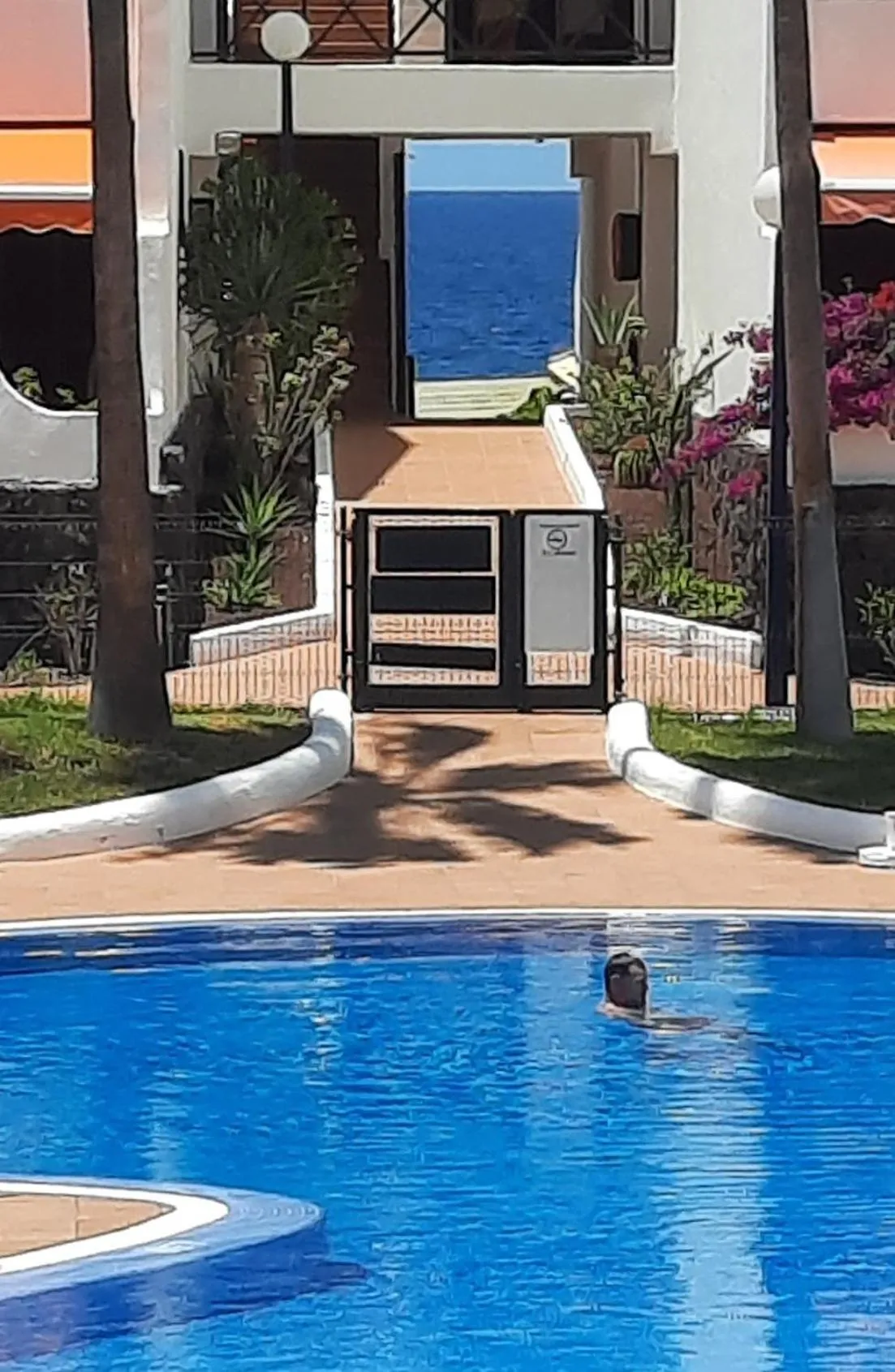 Pool view in ZioCarlo/Las Americas