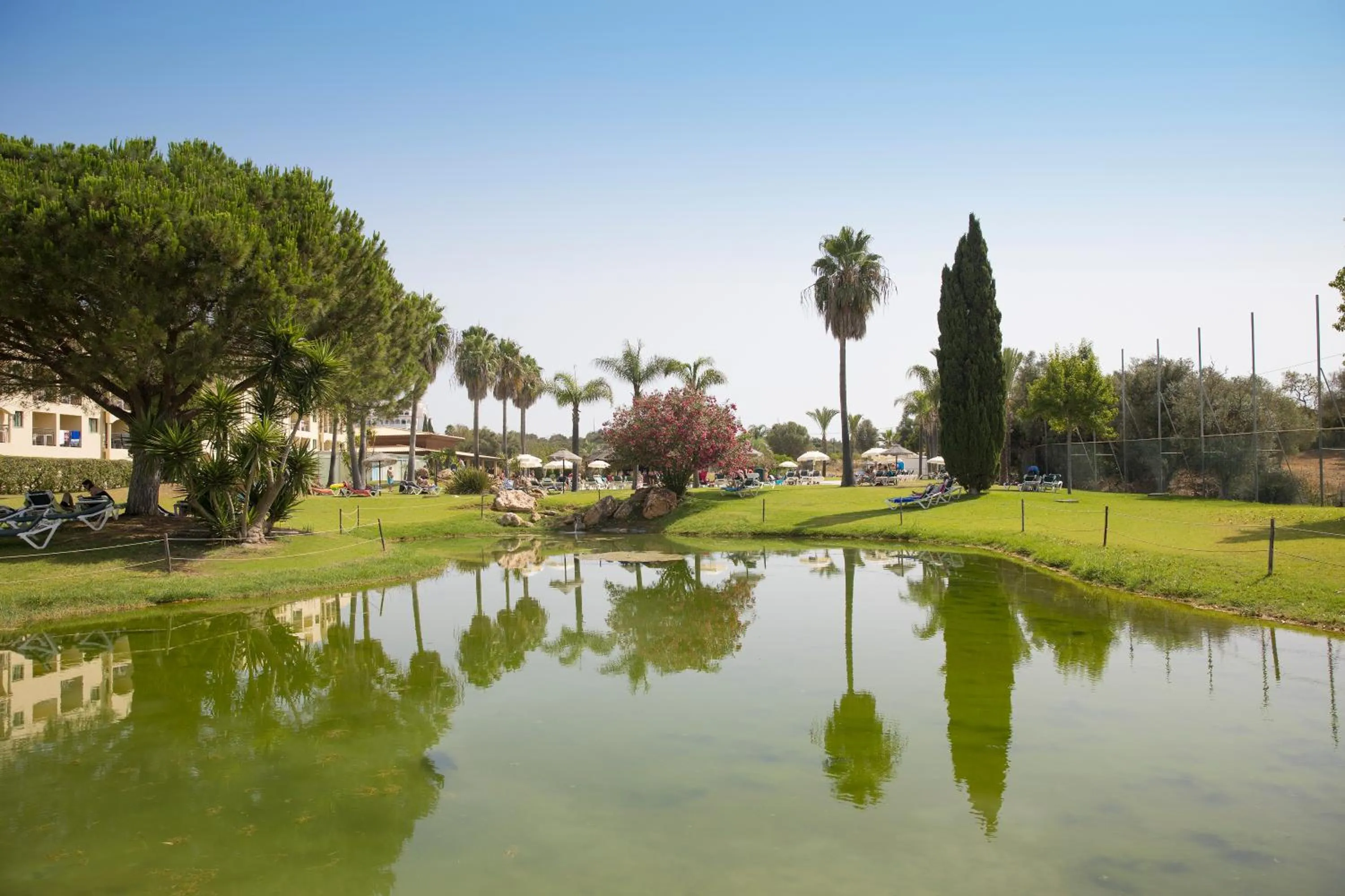 Natural landscape in The Navigator - Palm Oasis Alvor - All Inclusive
