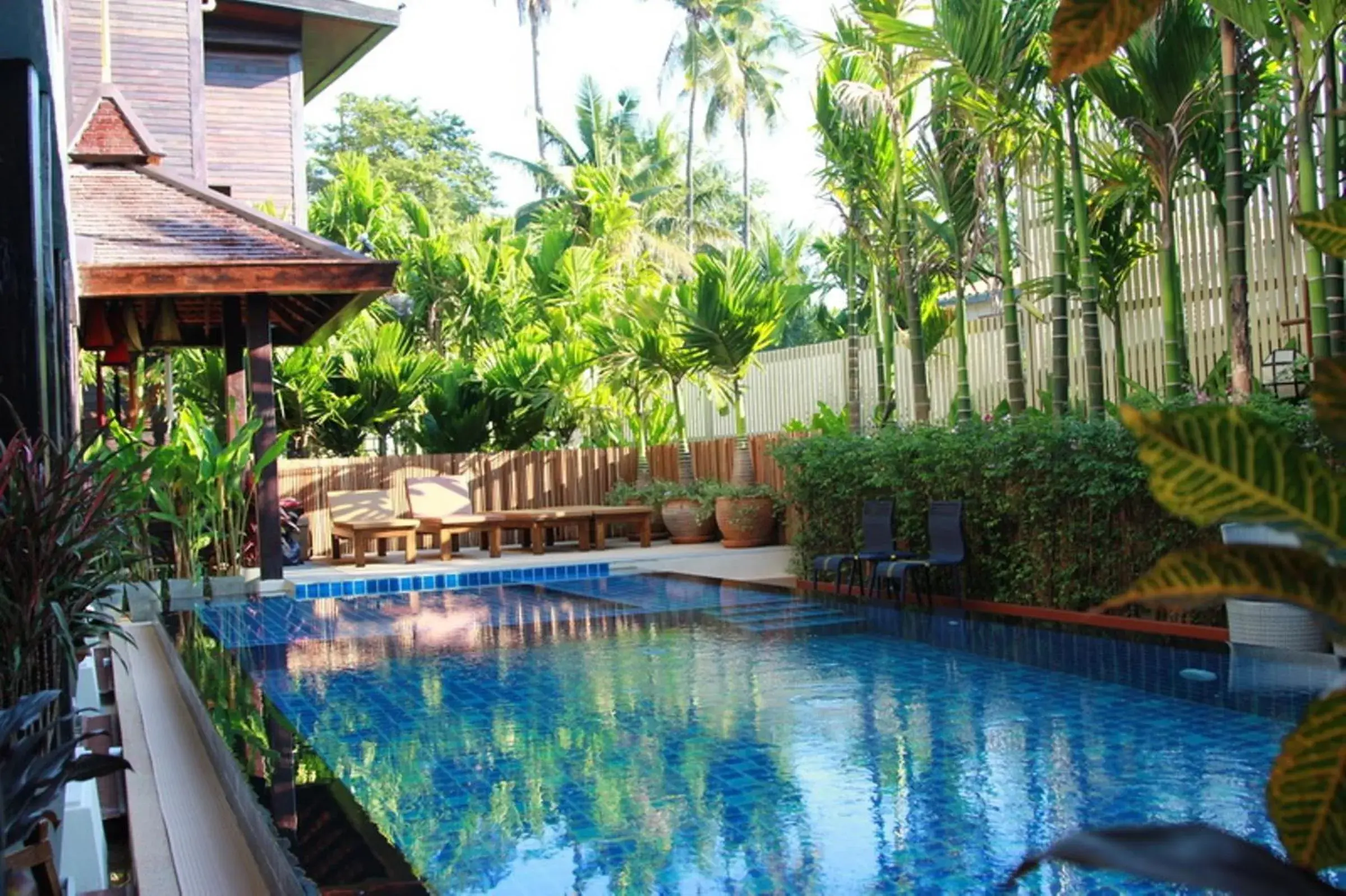 Pool view in Viang Thapae Resort Pool view in Viang Thapae Resort