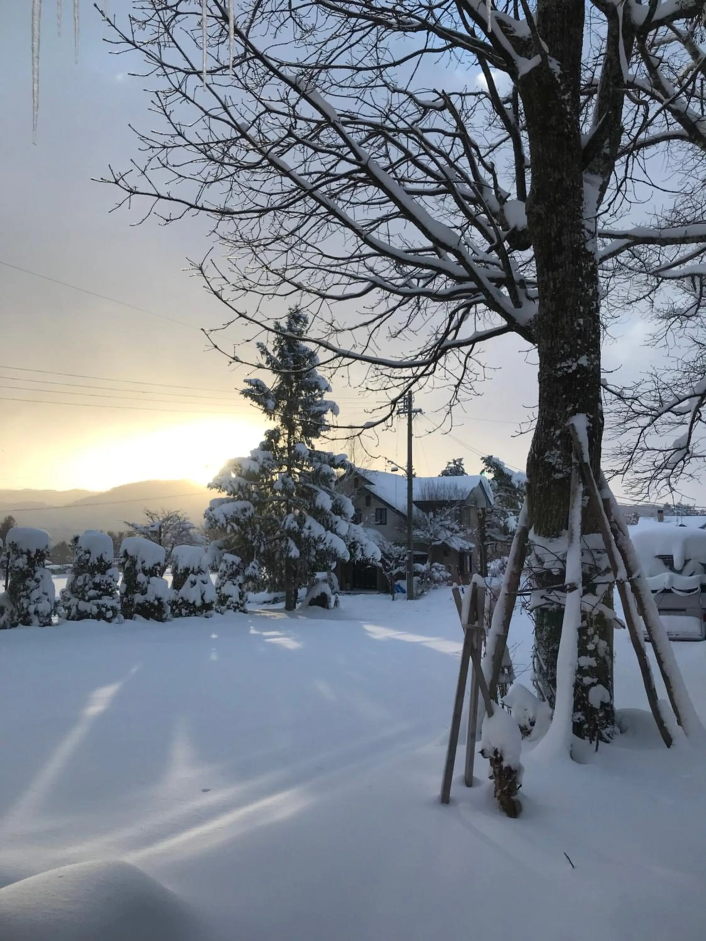 Property building in Hotel El Mayo