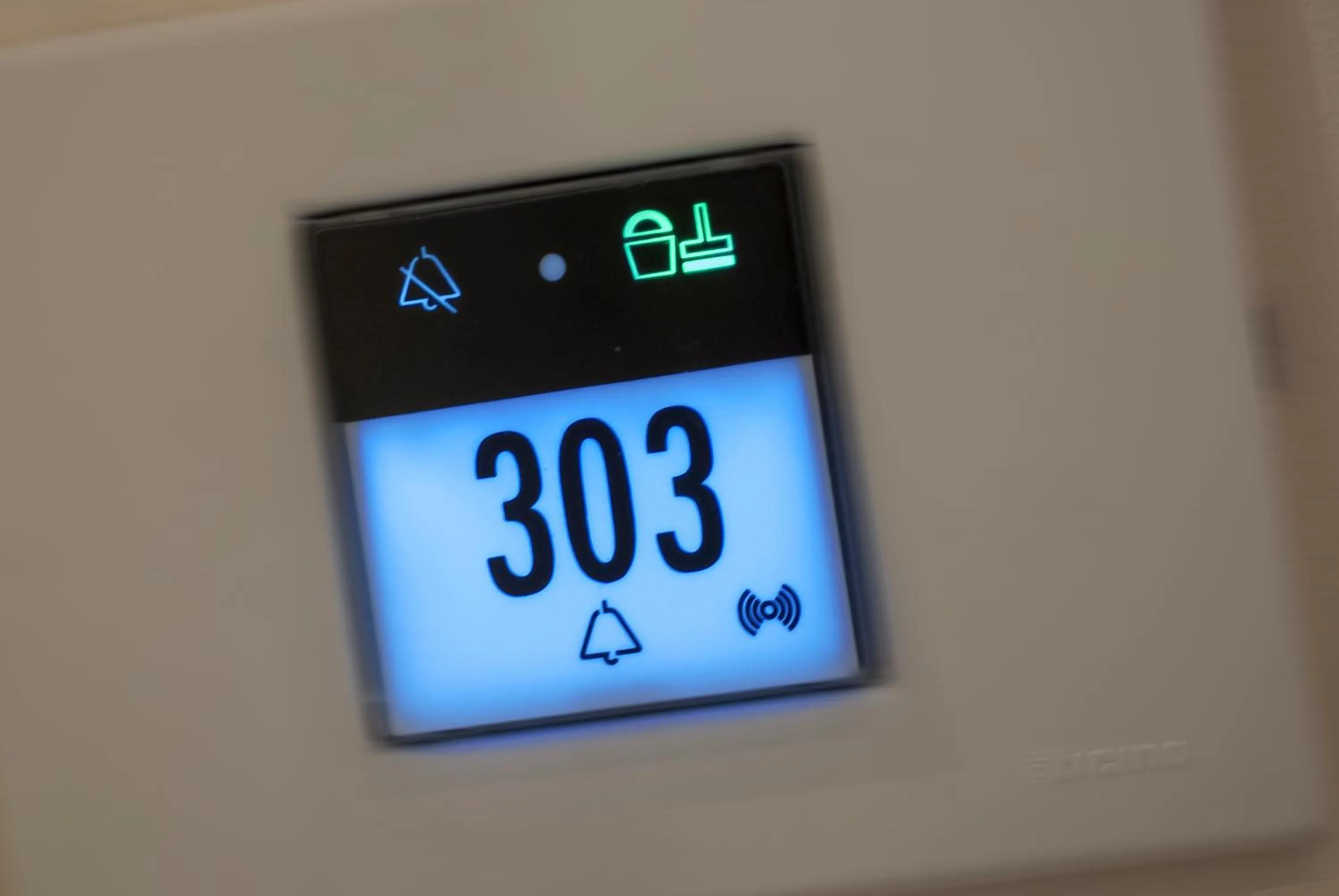 Decorative detail in DVE Suite Rome