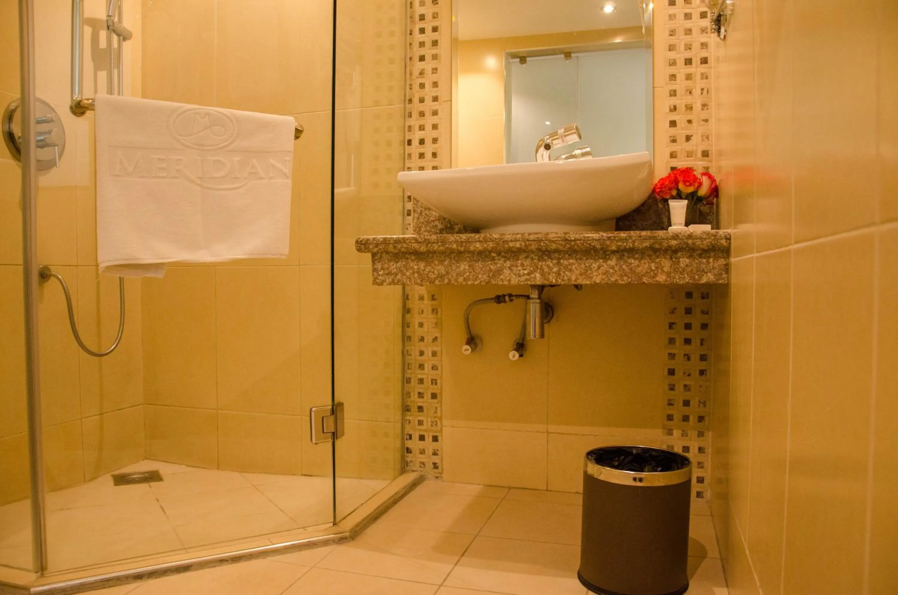 Bathroom in Best Western Plus Meridian Hotel