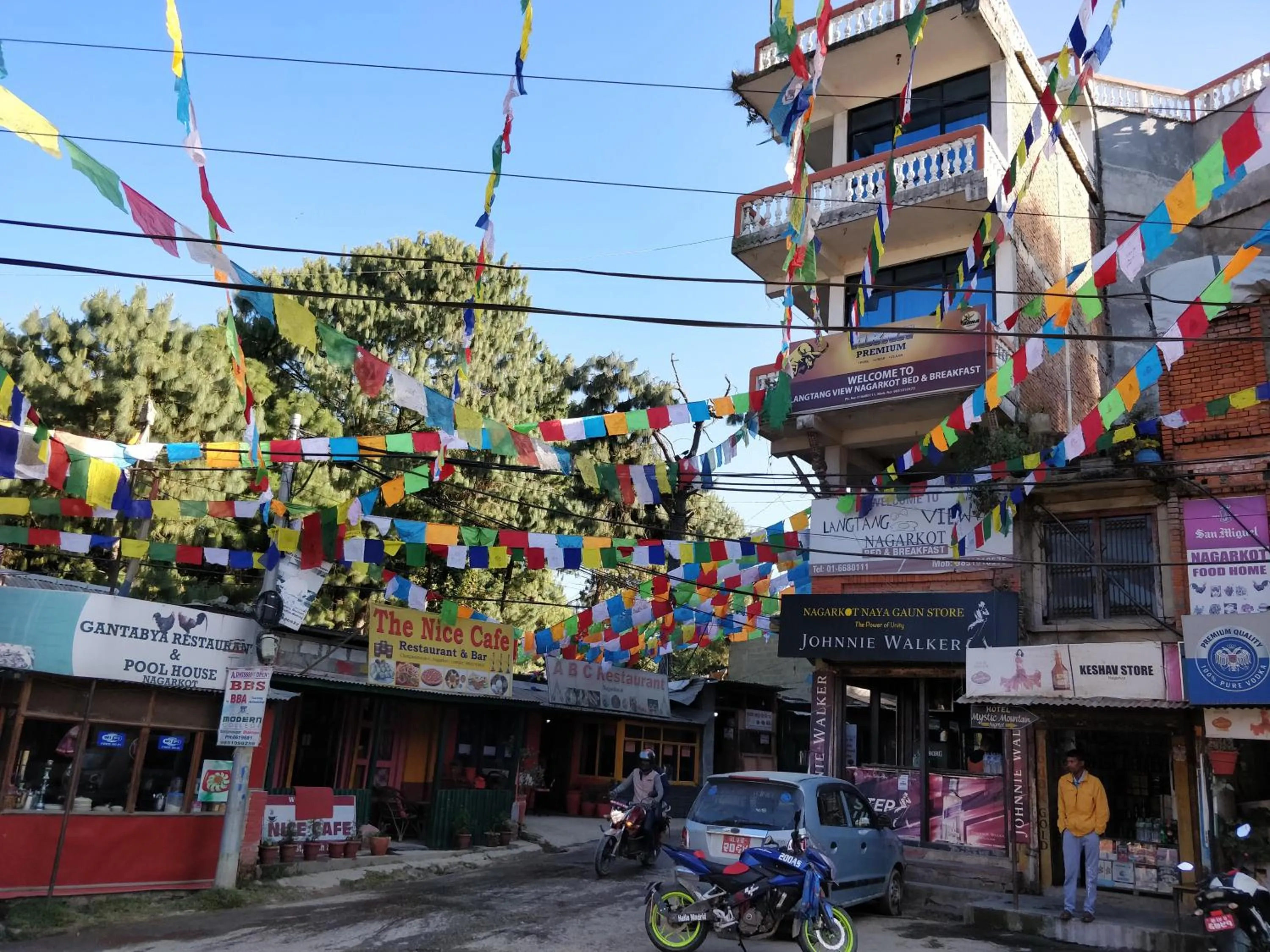 Langtang View Nagarkot Bed and Breakfast