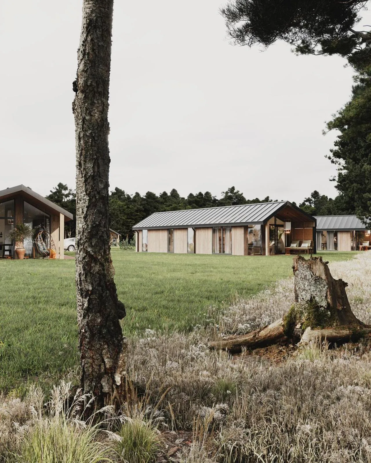 Spring in The Valley x Wilsum