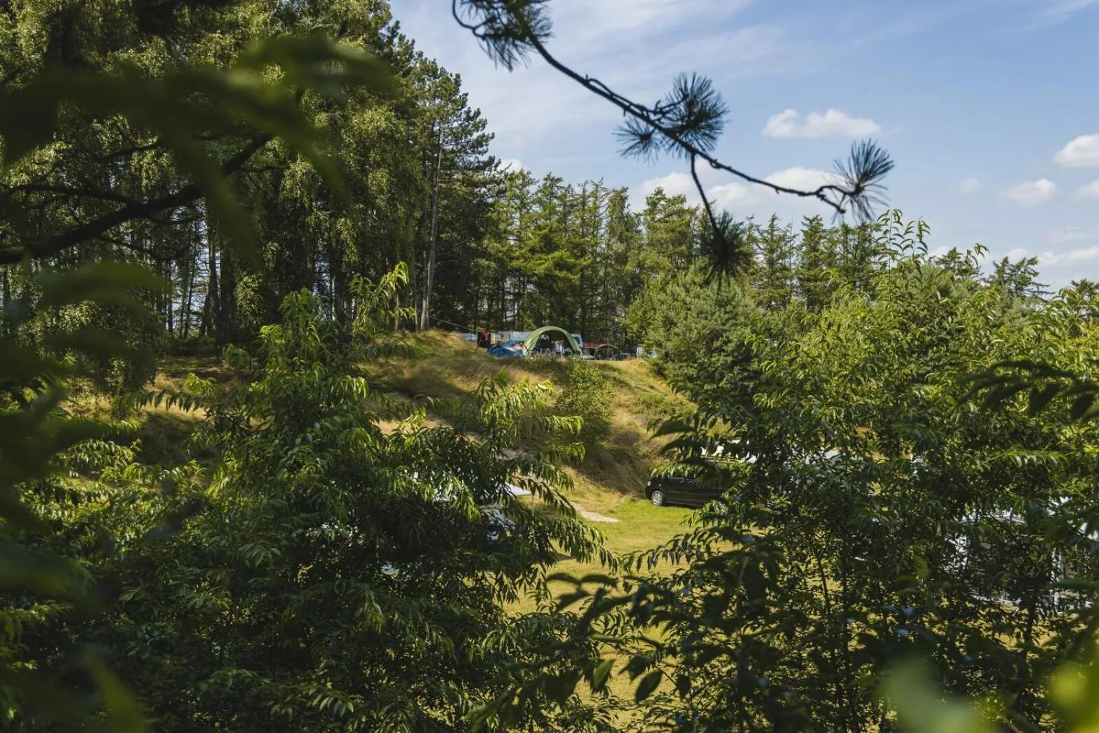 Spring in Resort Wilsumer Berge