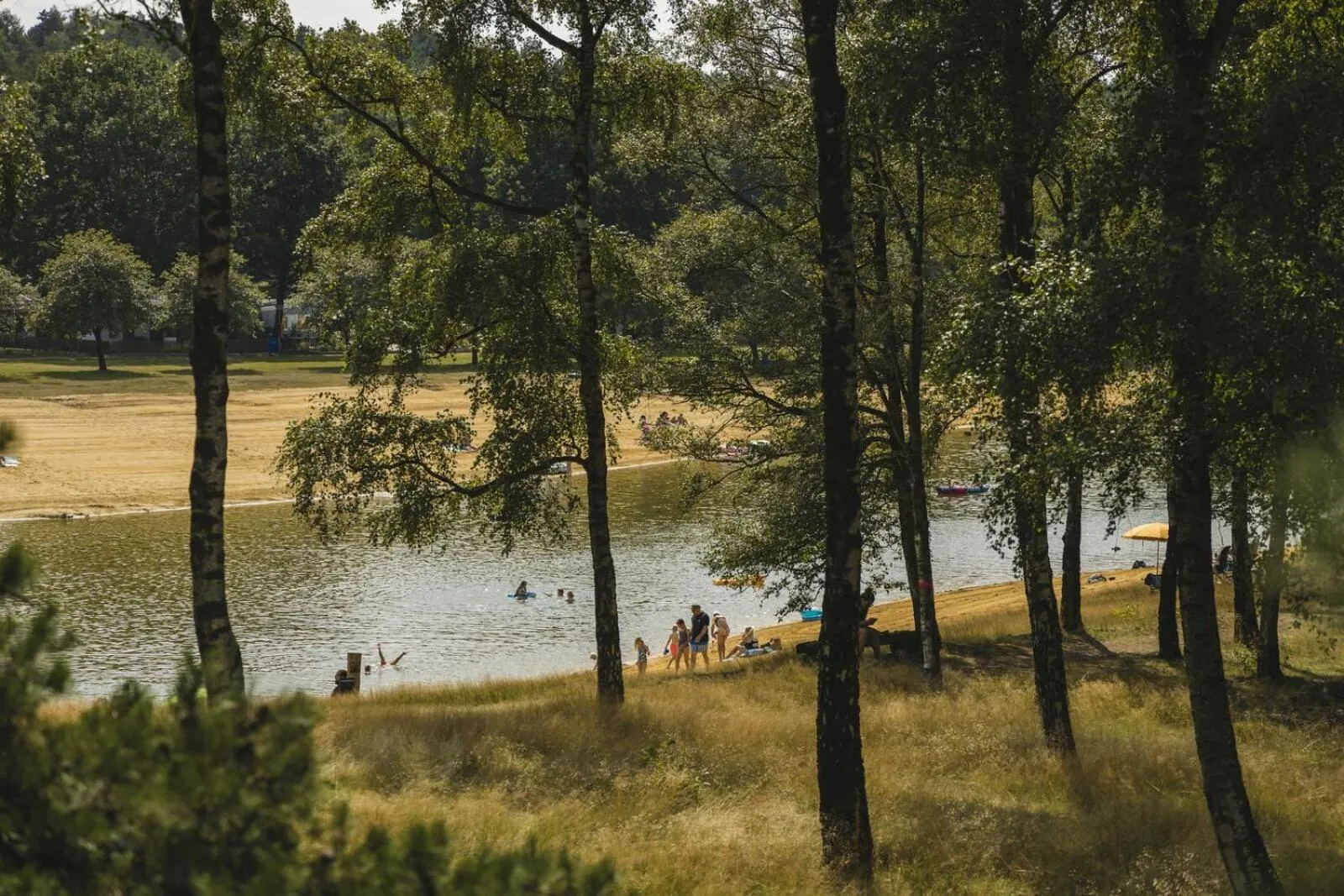 Spring in Resort Wilsumer Berge