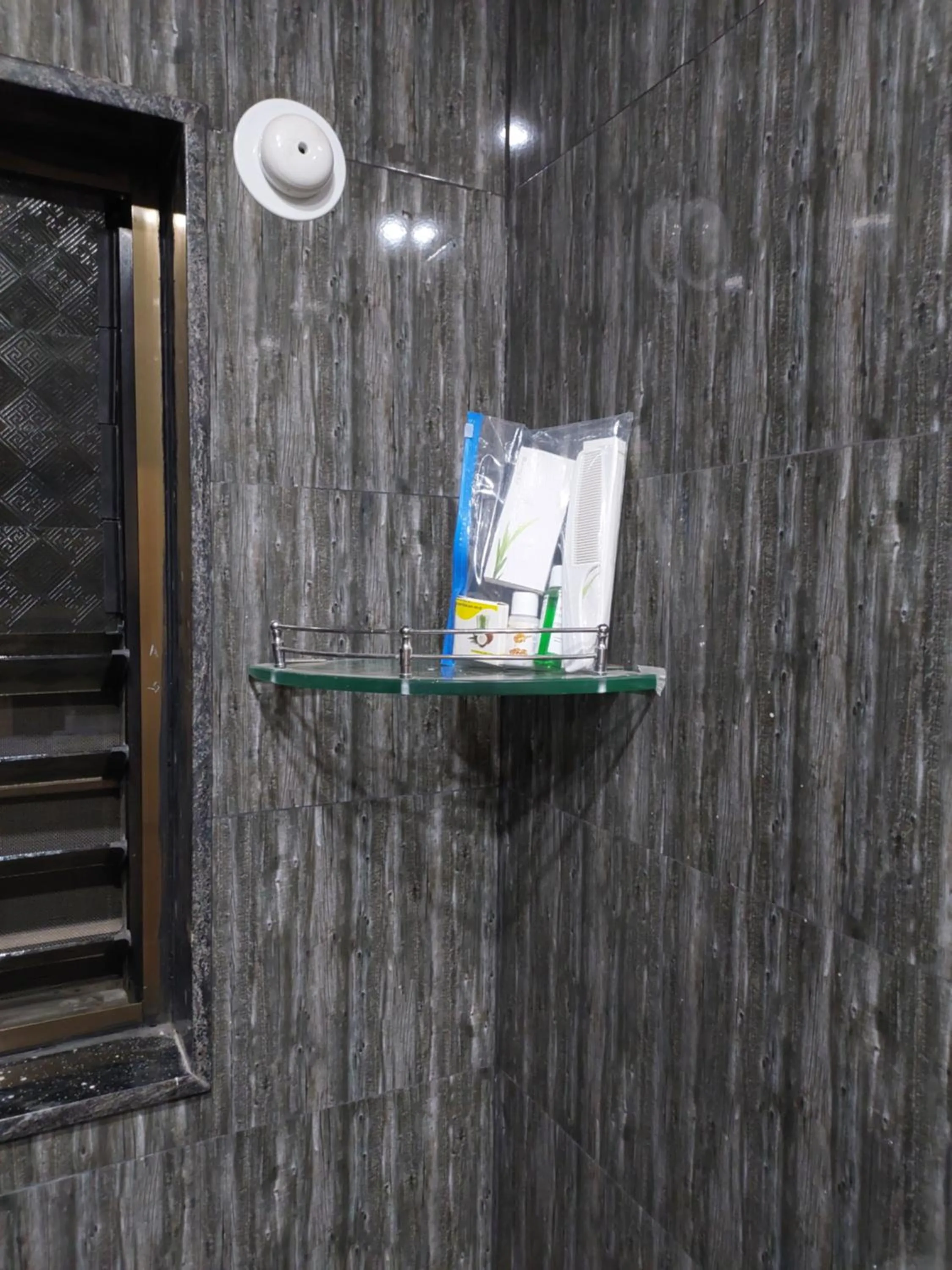 Hotel Sai Dakshina Inn & The Fern Restaurant