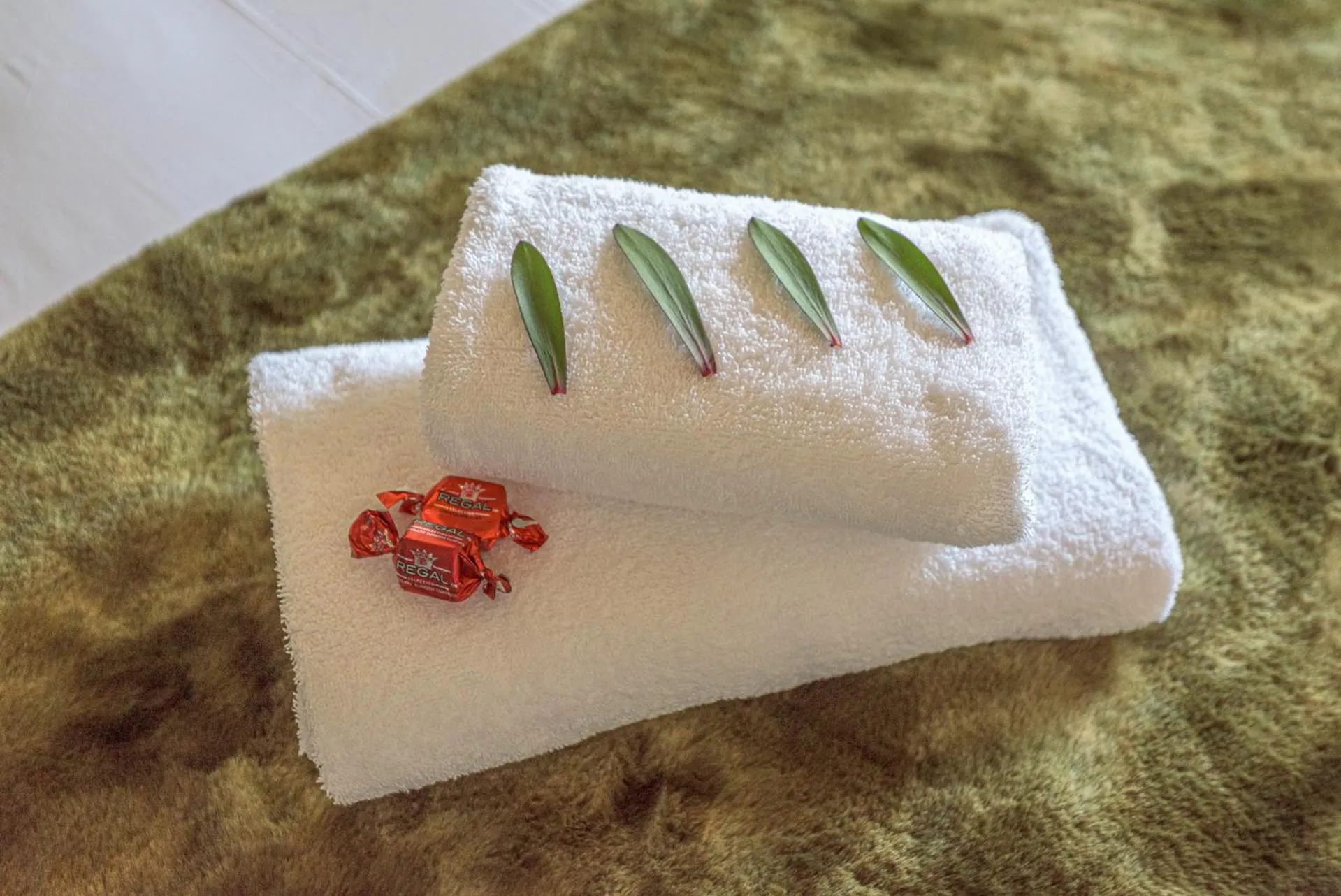 Bedroom in Fynbos Golf and Country Estate