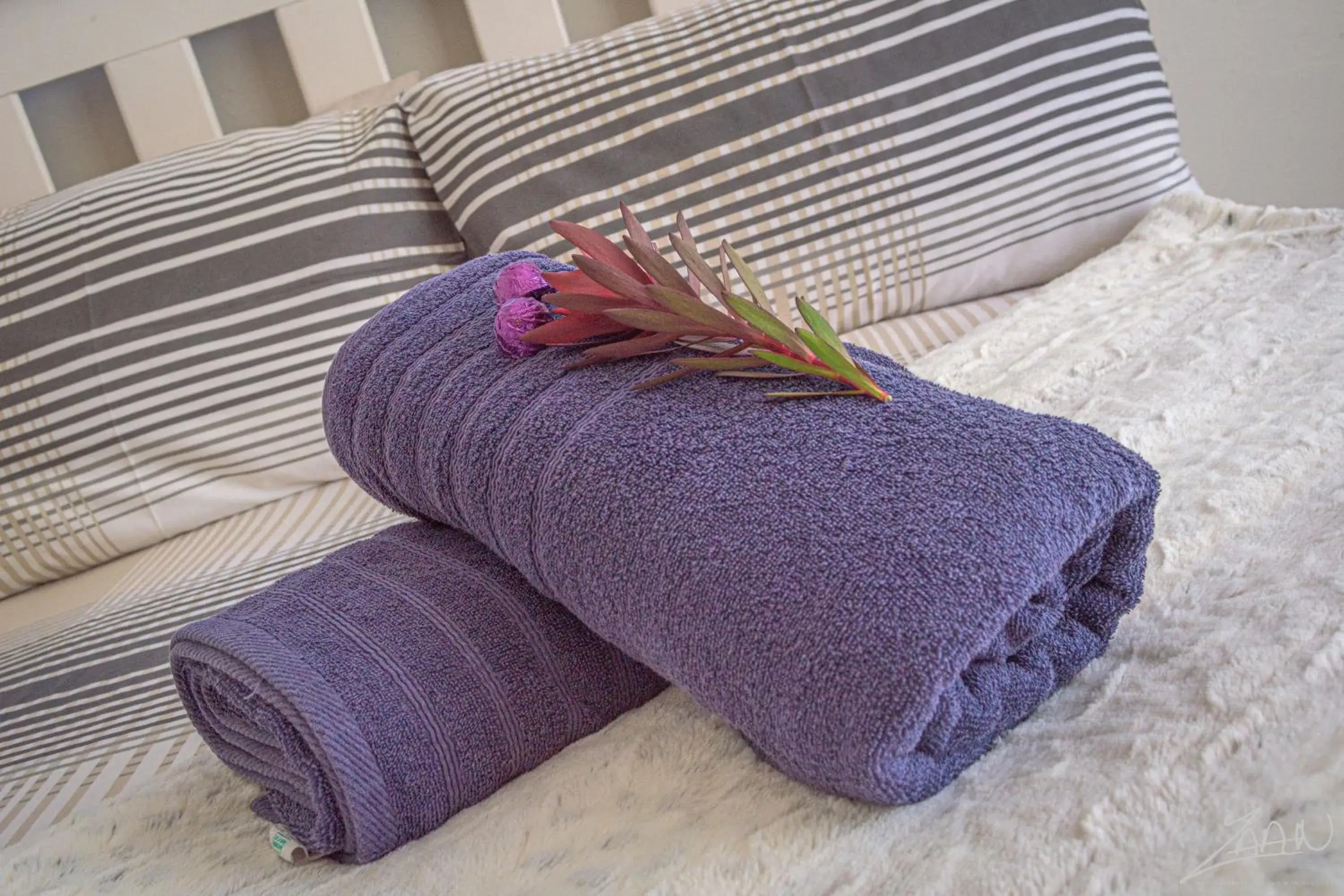 Fynbos Golf and Country Estate Fynbos Golf and Country Estate