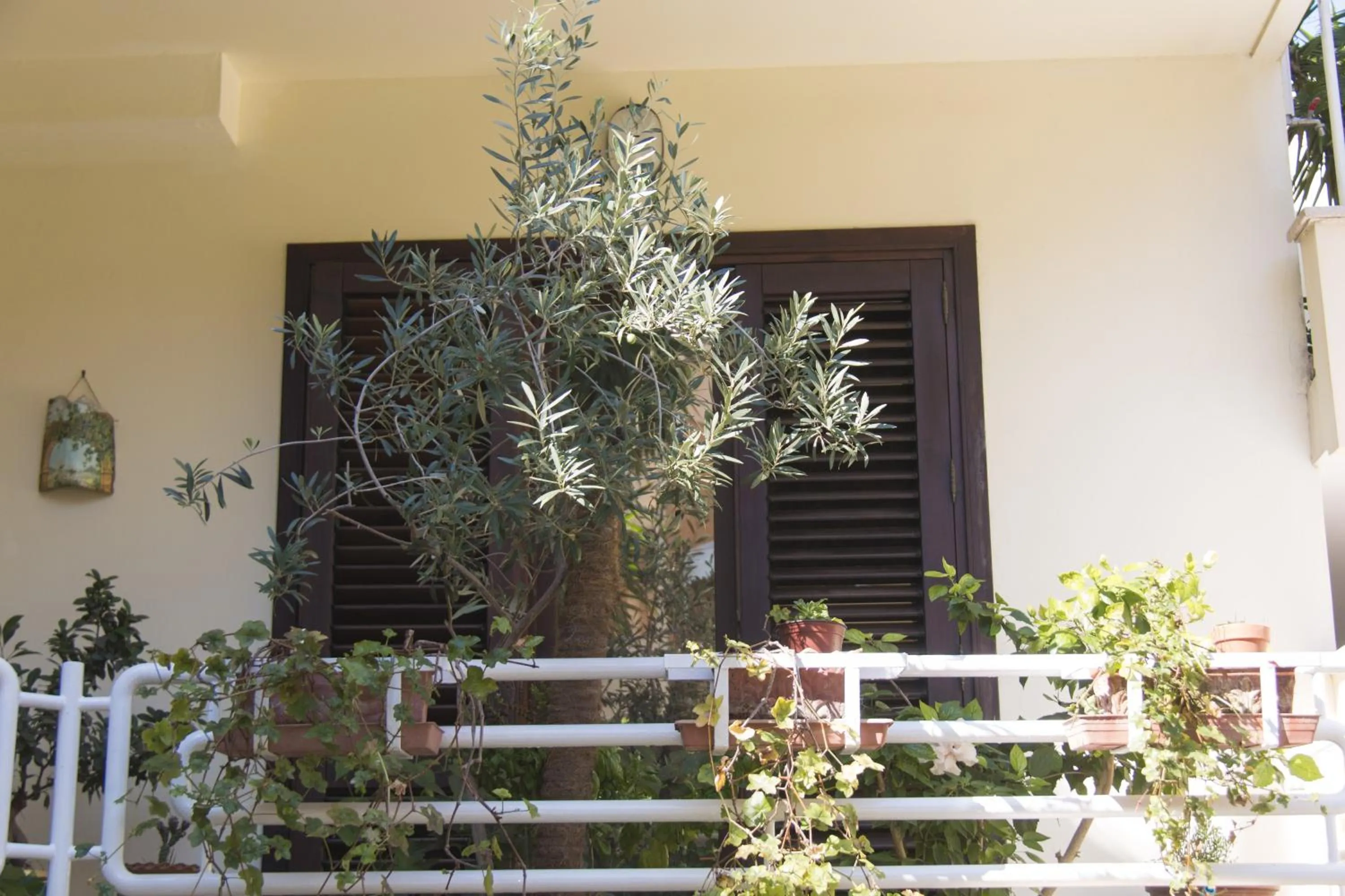 Balcony/Terrace in B&B Luxury