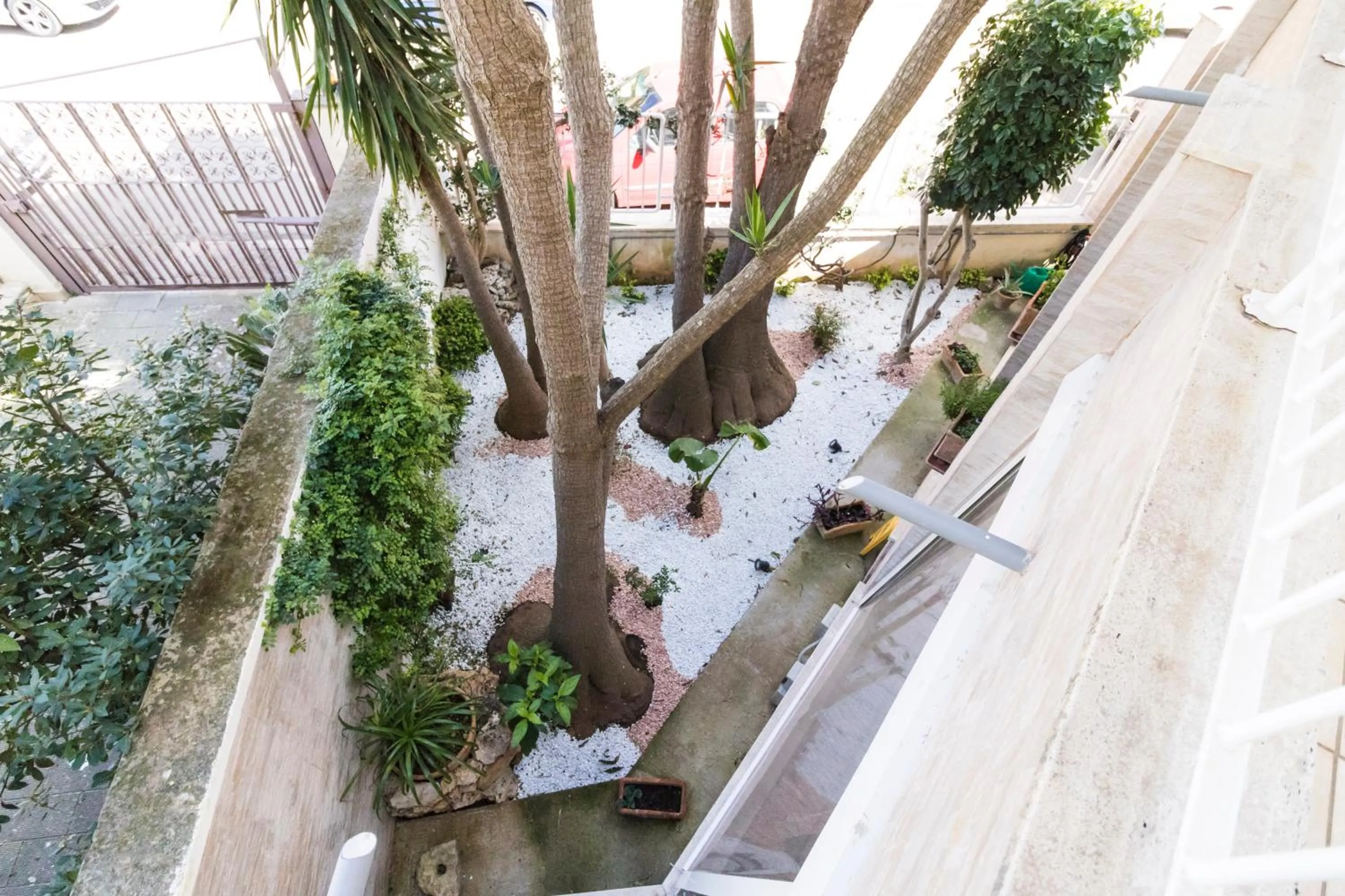 Area and facilities in B&B Luxury