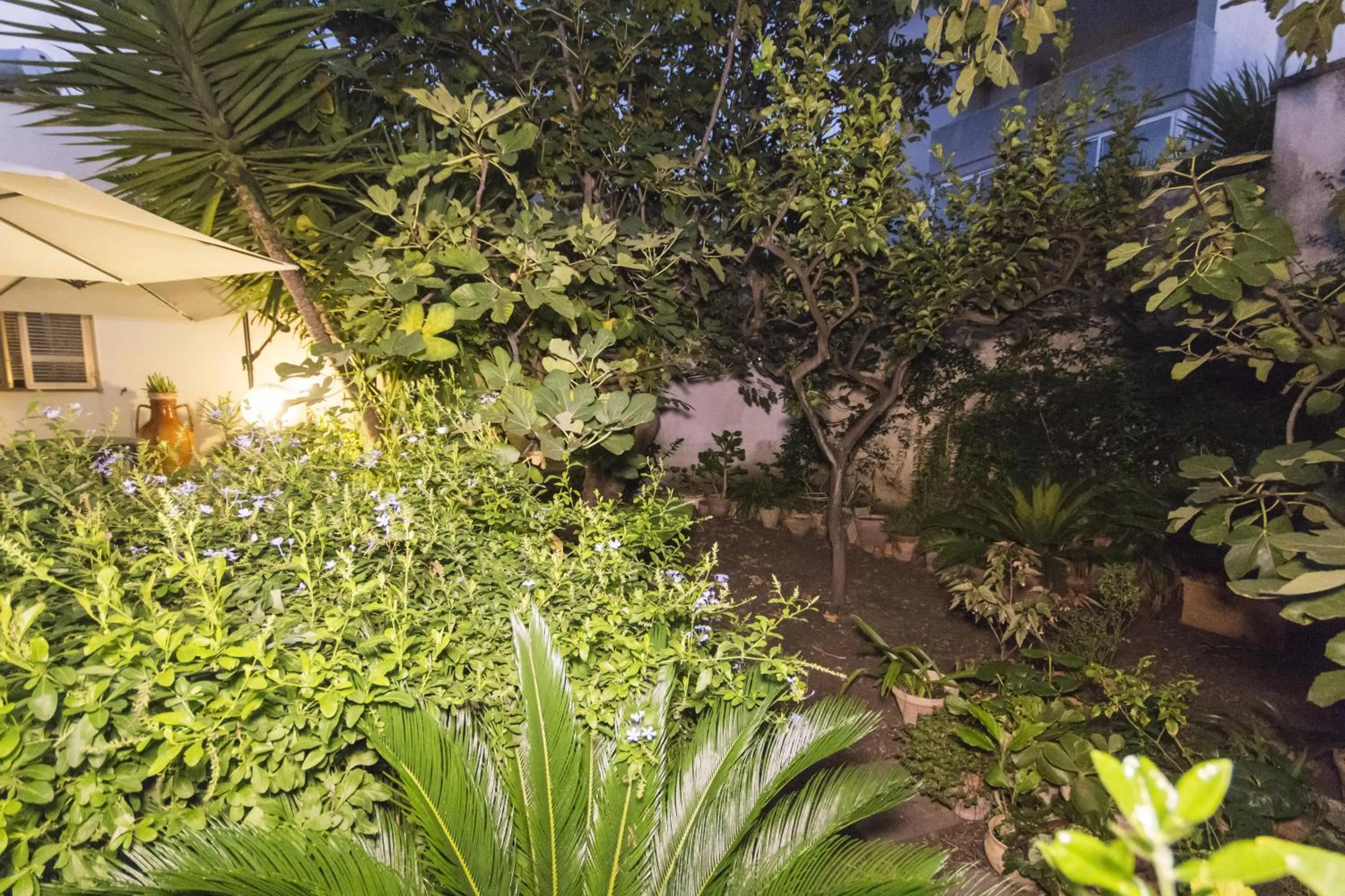 Garden in B&B Luxury