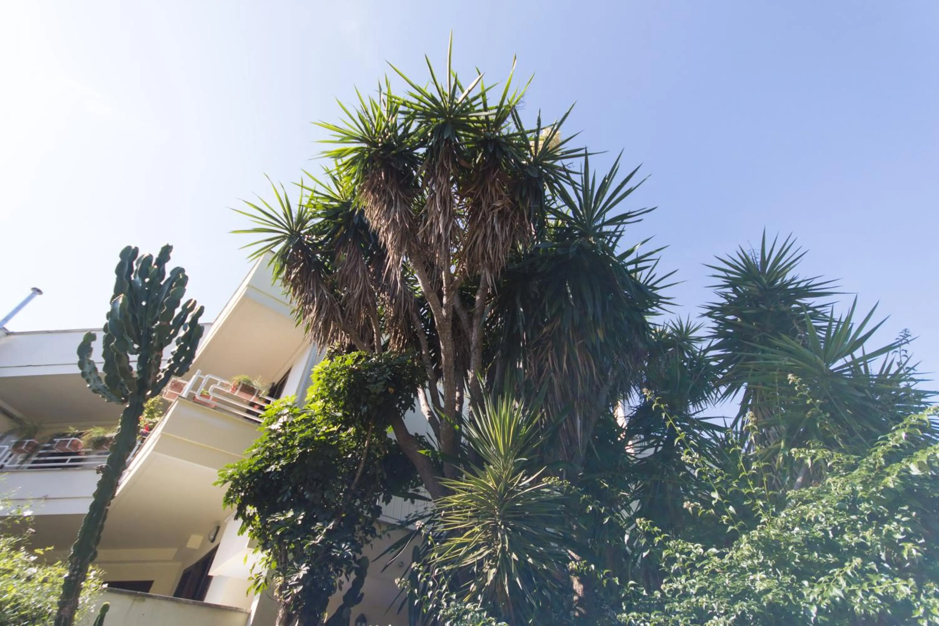 Garden view in B&B Luxury