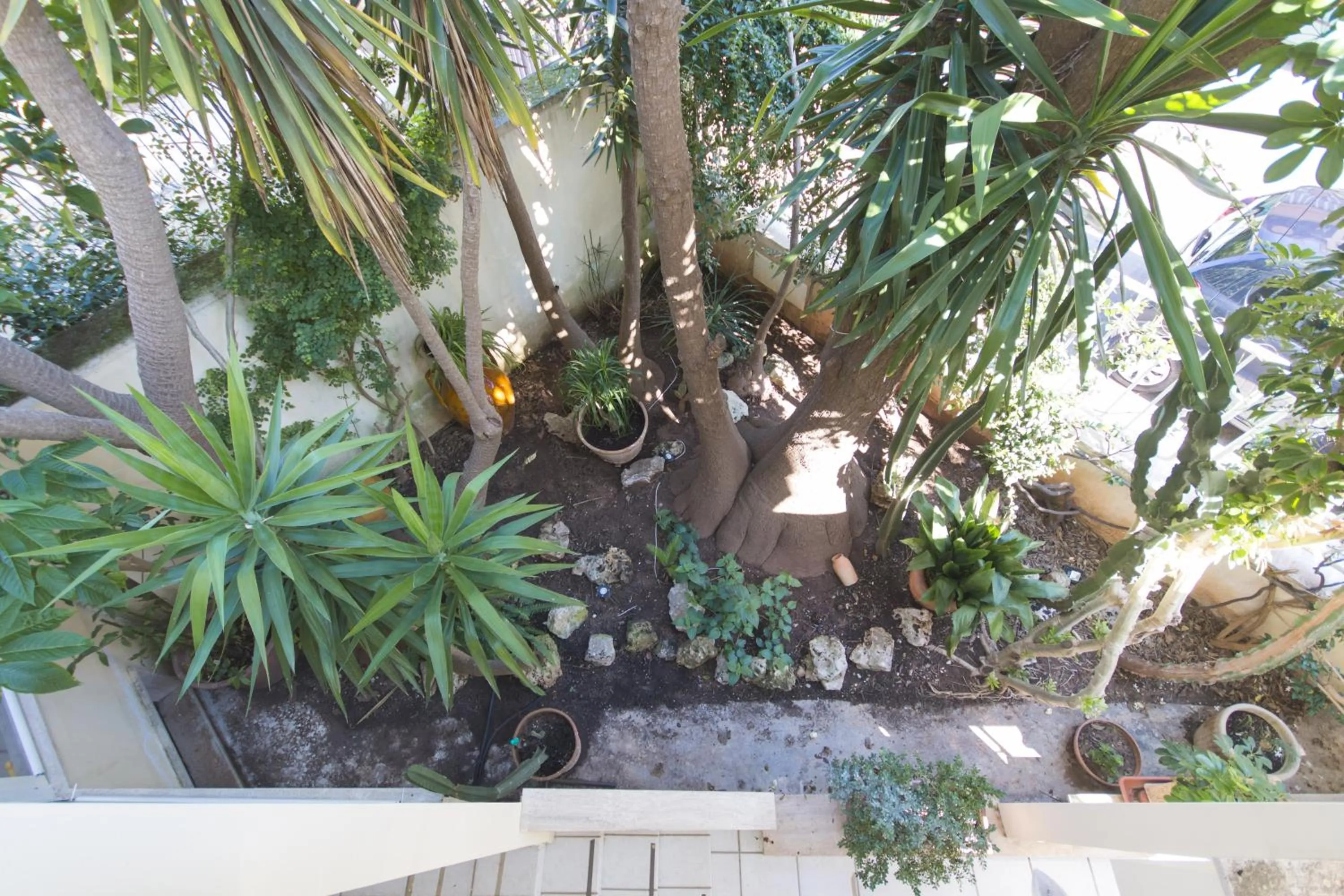 Garden view in B&B Luxury