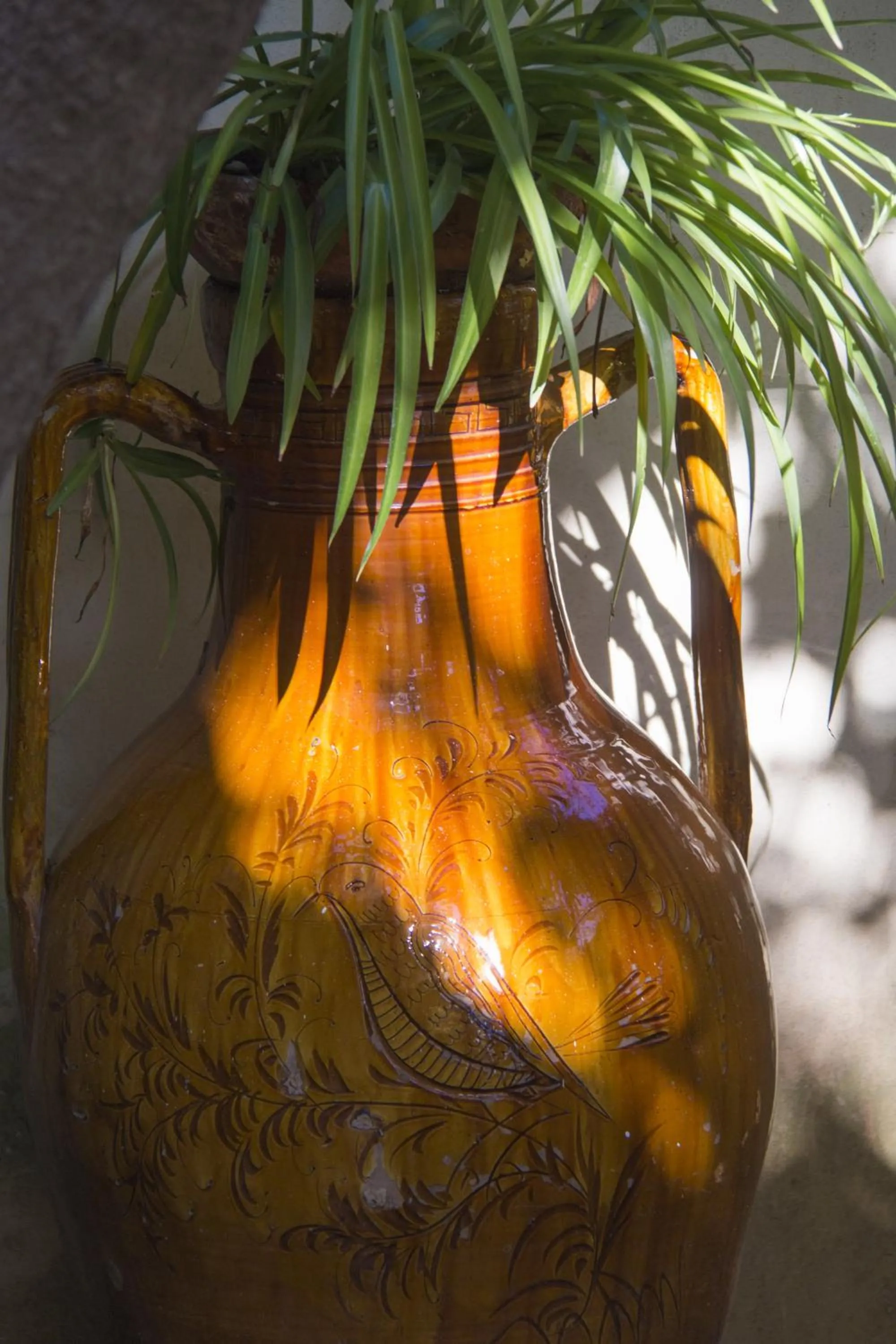 Garden view in B&B Luxury