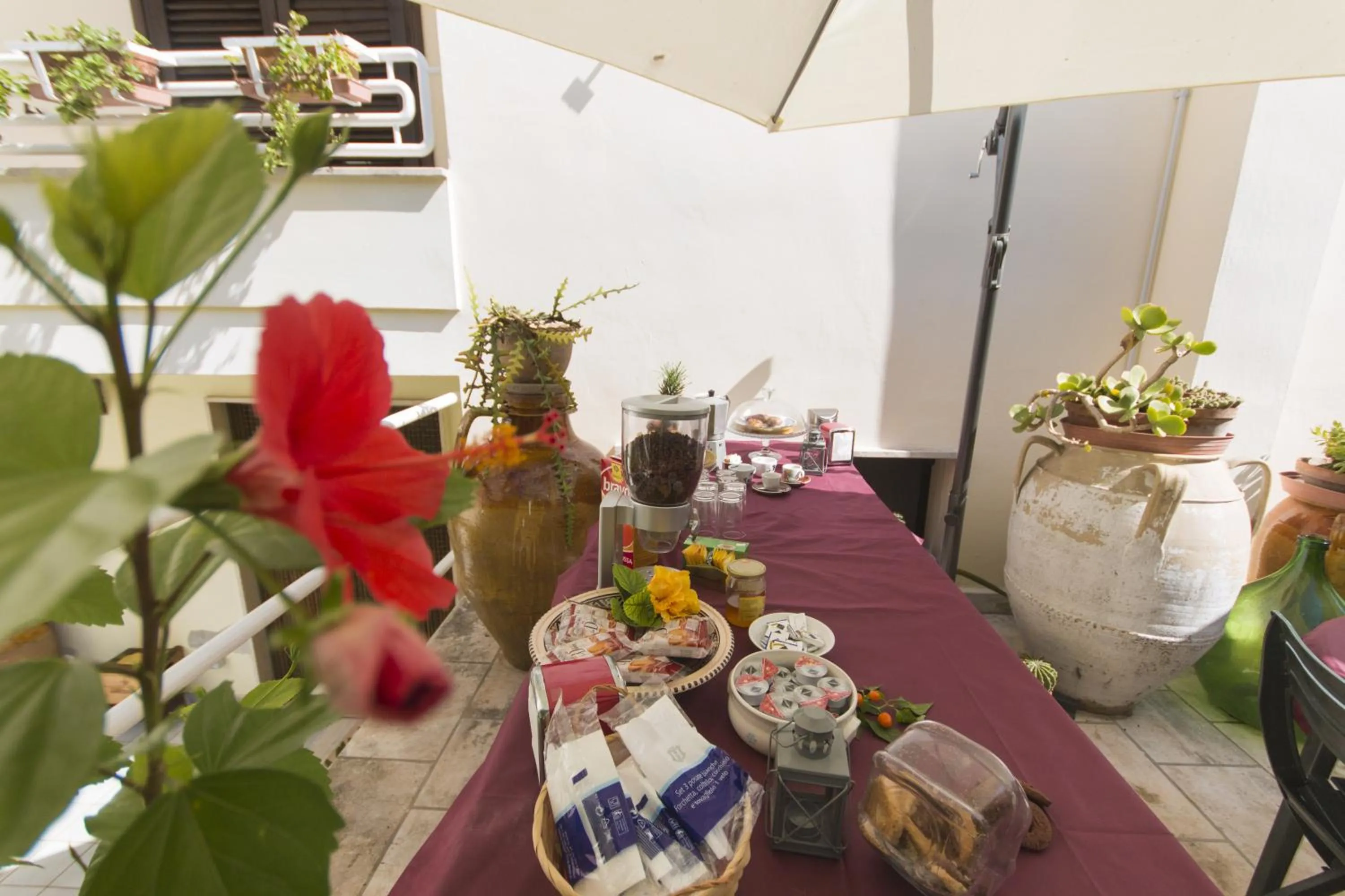 Food and drinks in B&B Luxury