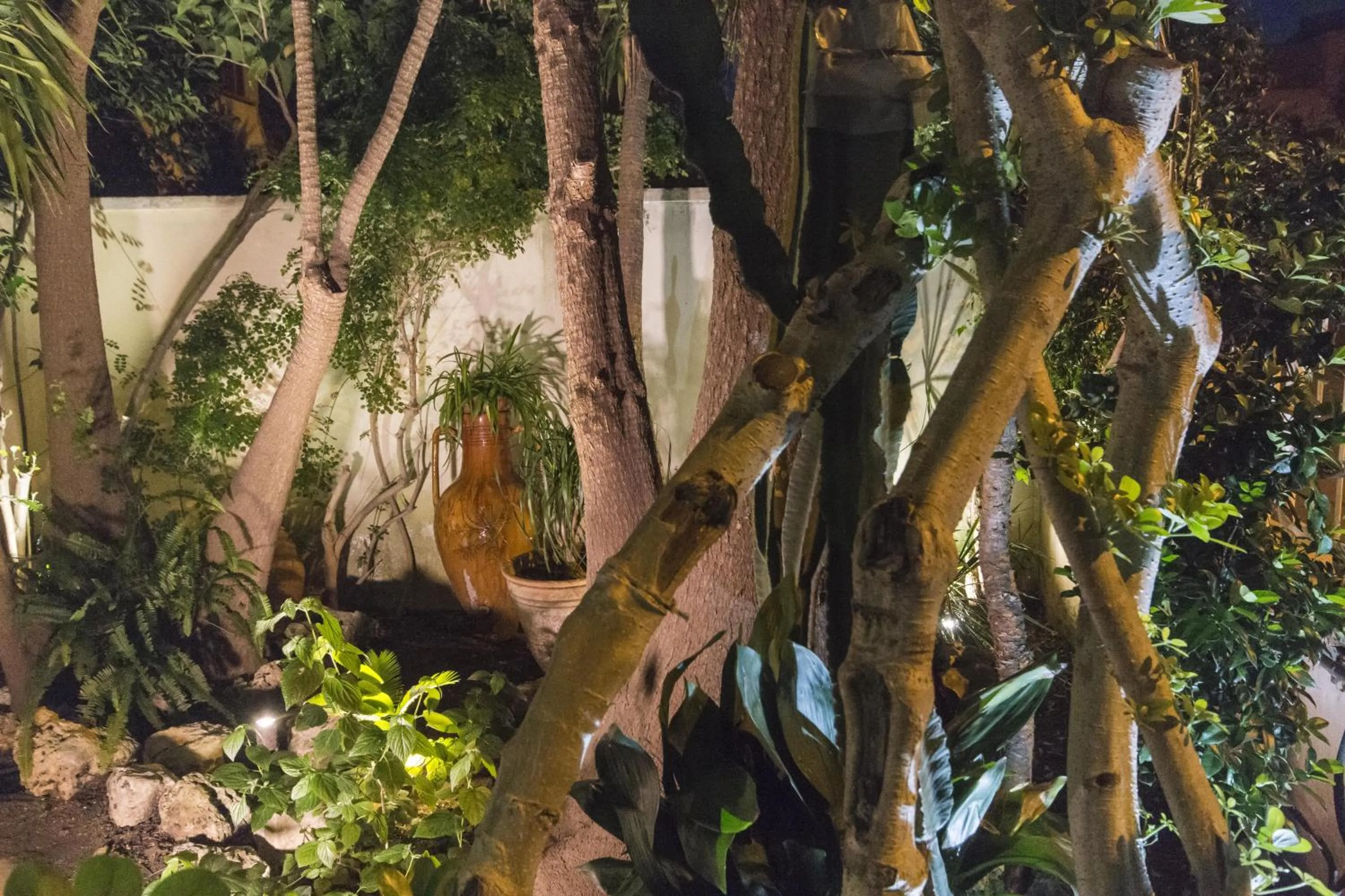 Garden in B&B Luxury